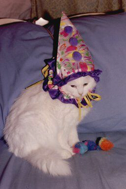 user avatar image for Shroomy