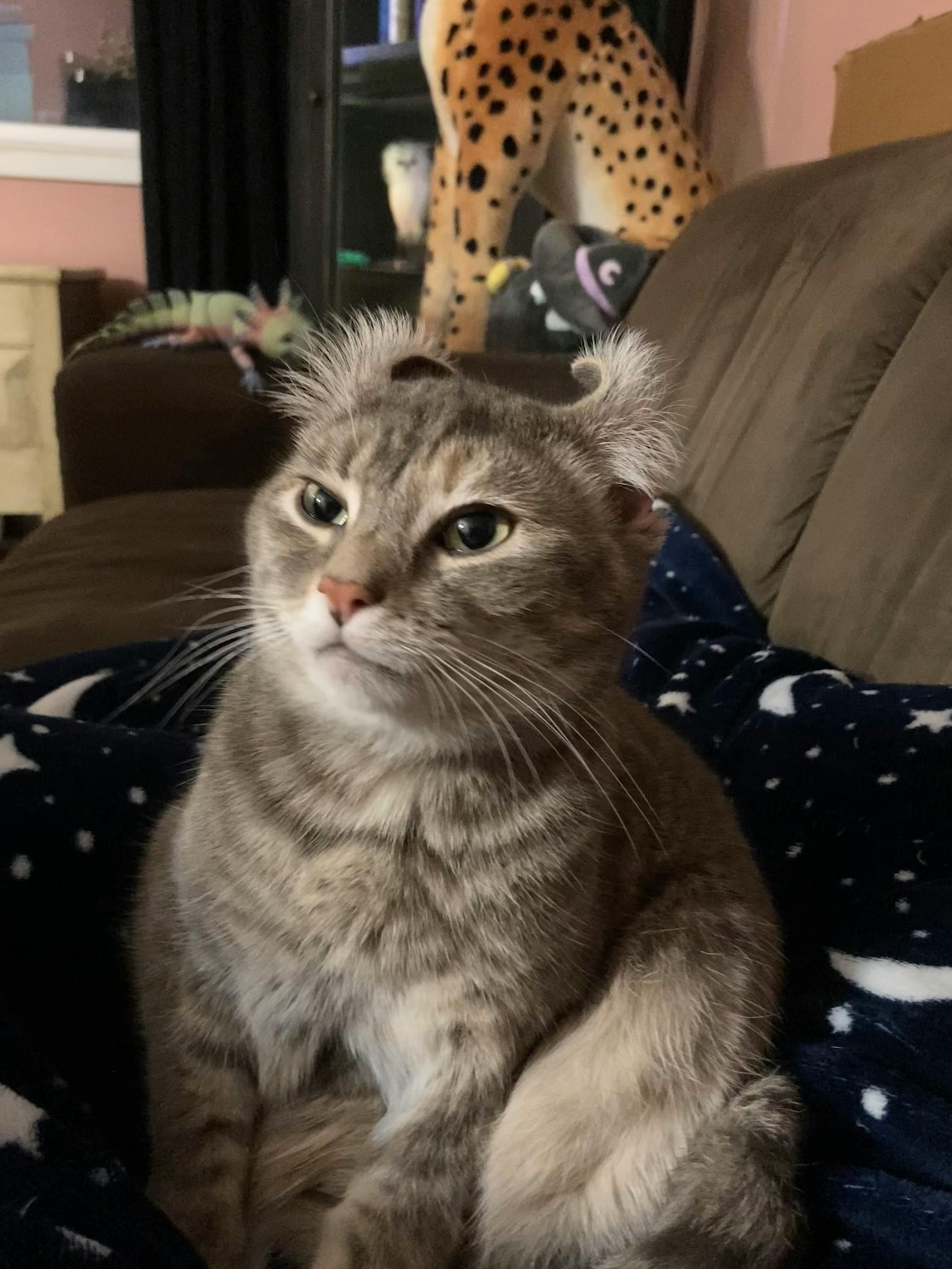 user avatar image for Kenneth Michael Brooks