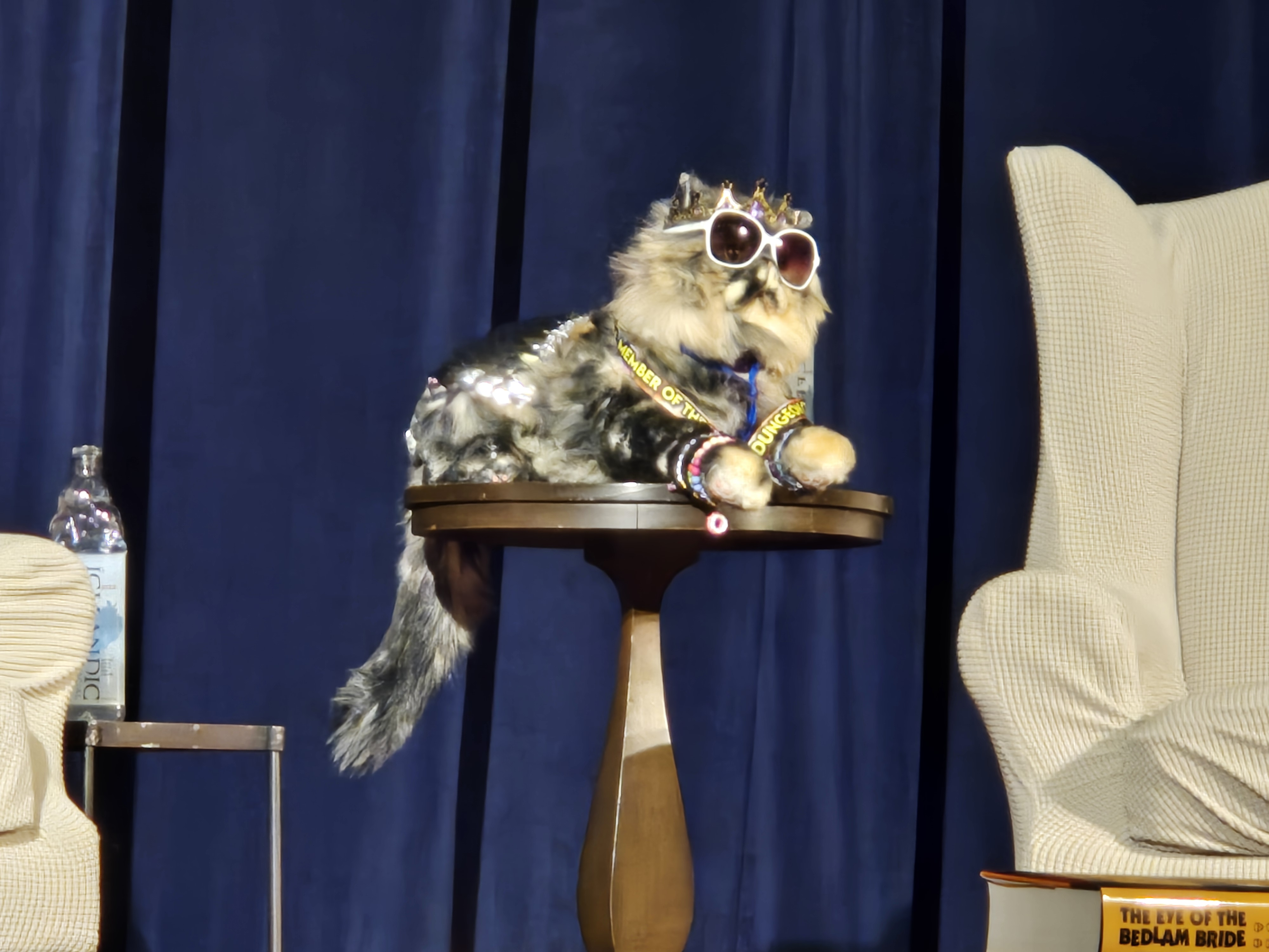 user avatar image for IvyAnneAK