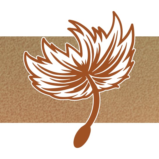 Dandelion Seed Mini Pin