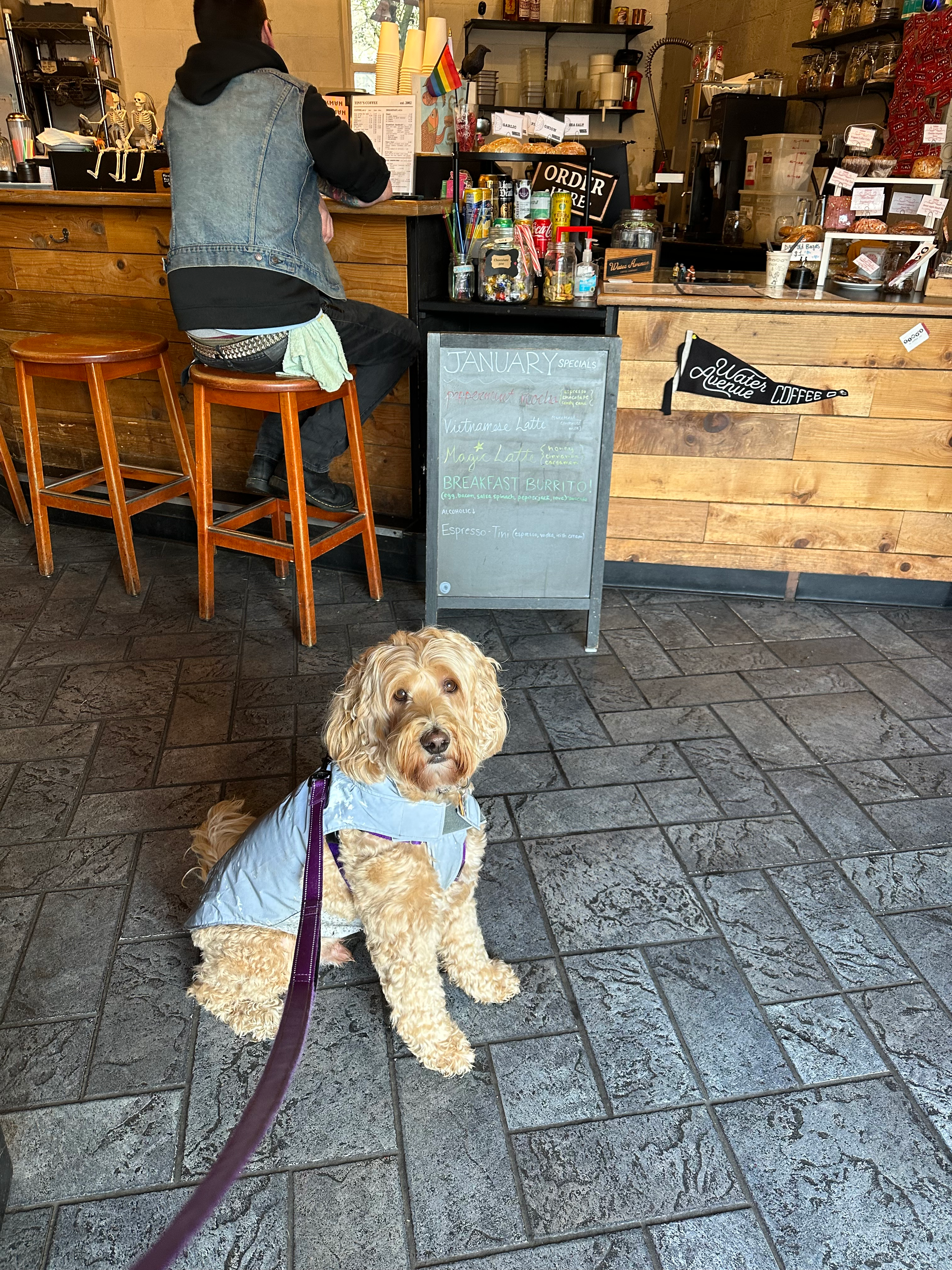 user avatar image for Dustin Neuman