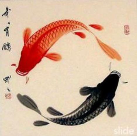 user avatar image for Kokishin
