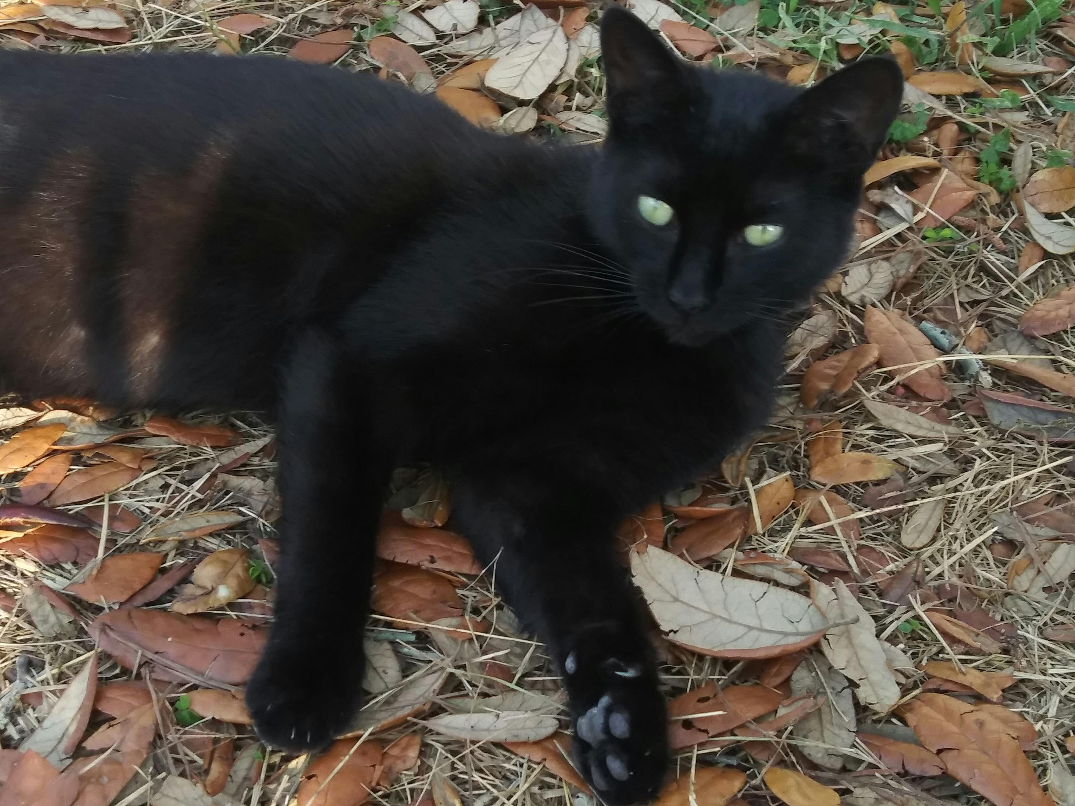 user avatar image for Savanna