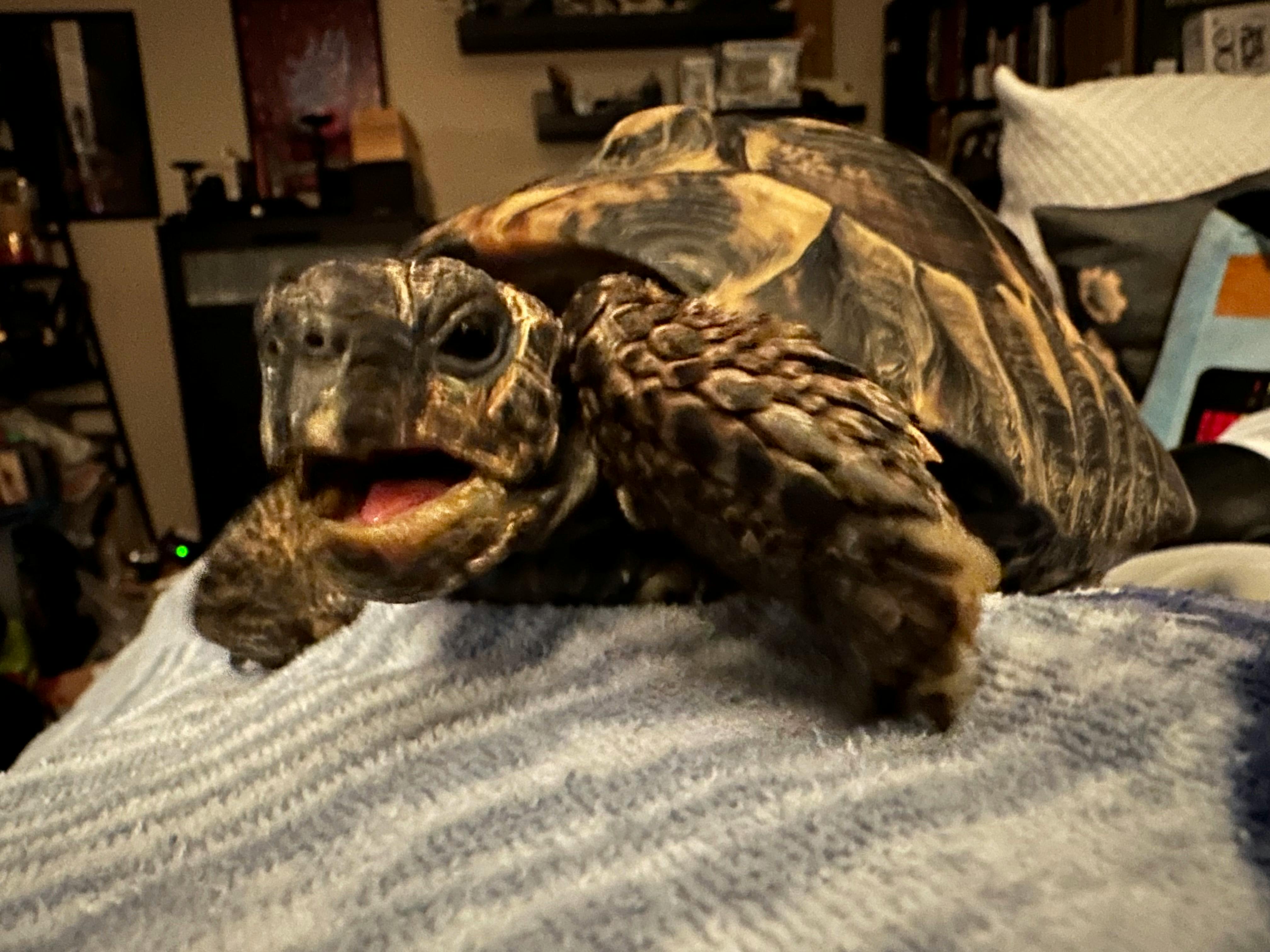 user avatar image for Christian