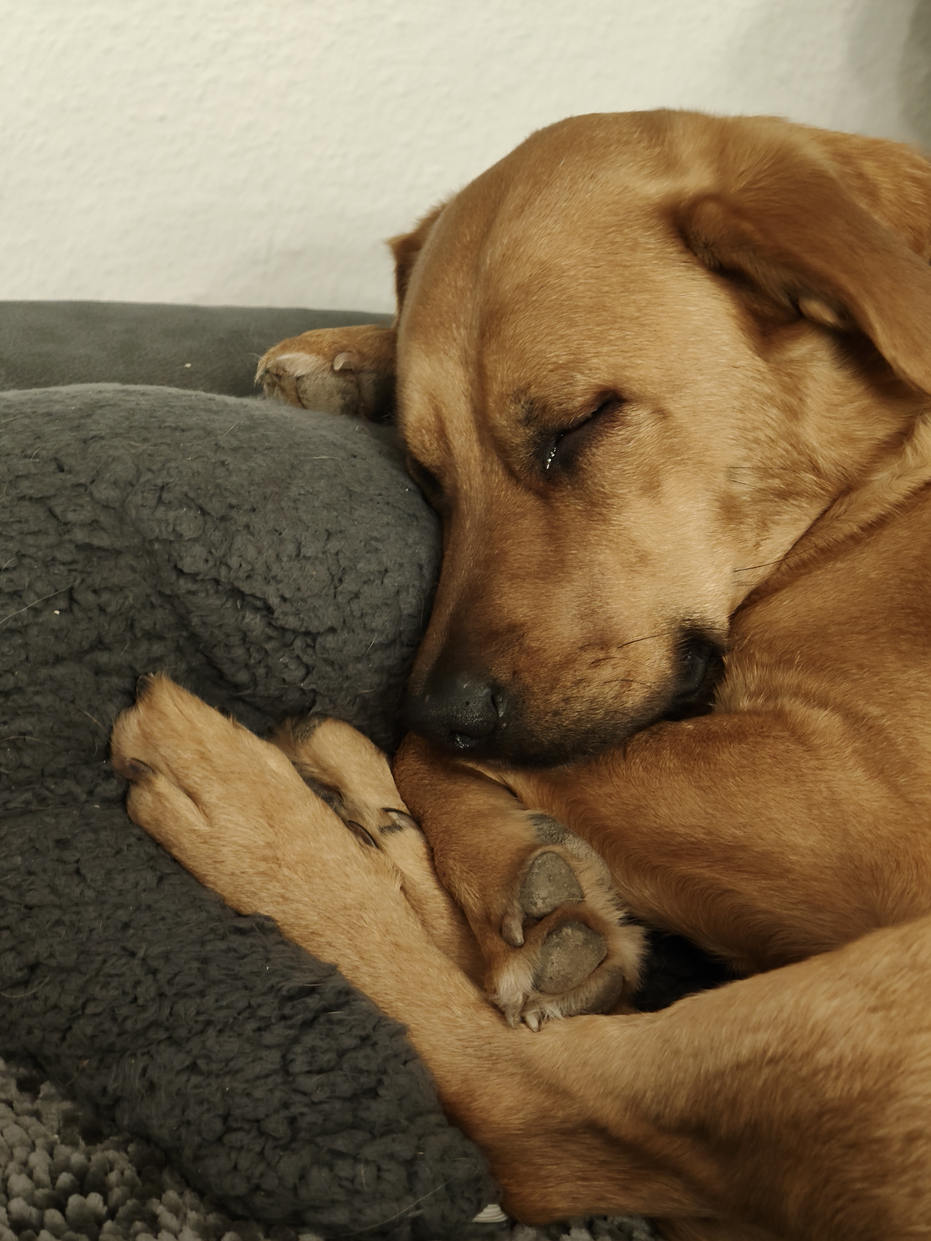 user avatar image for aj