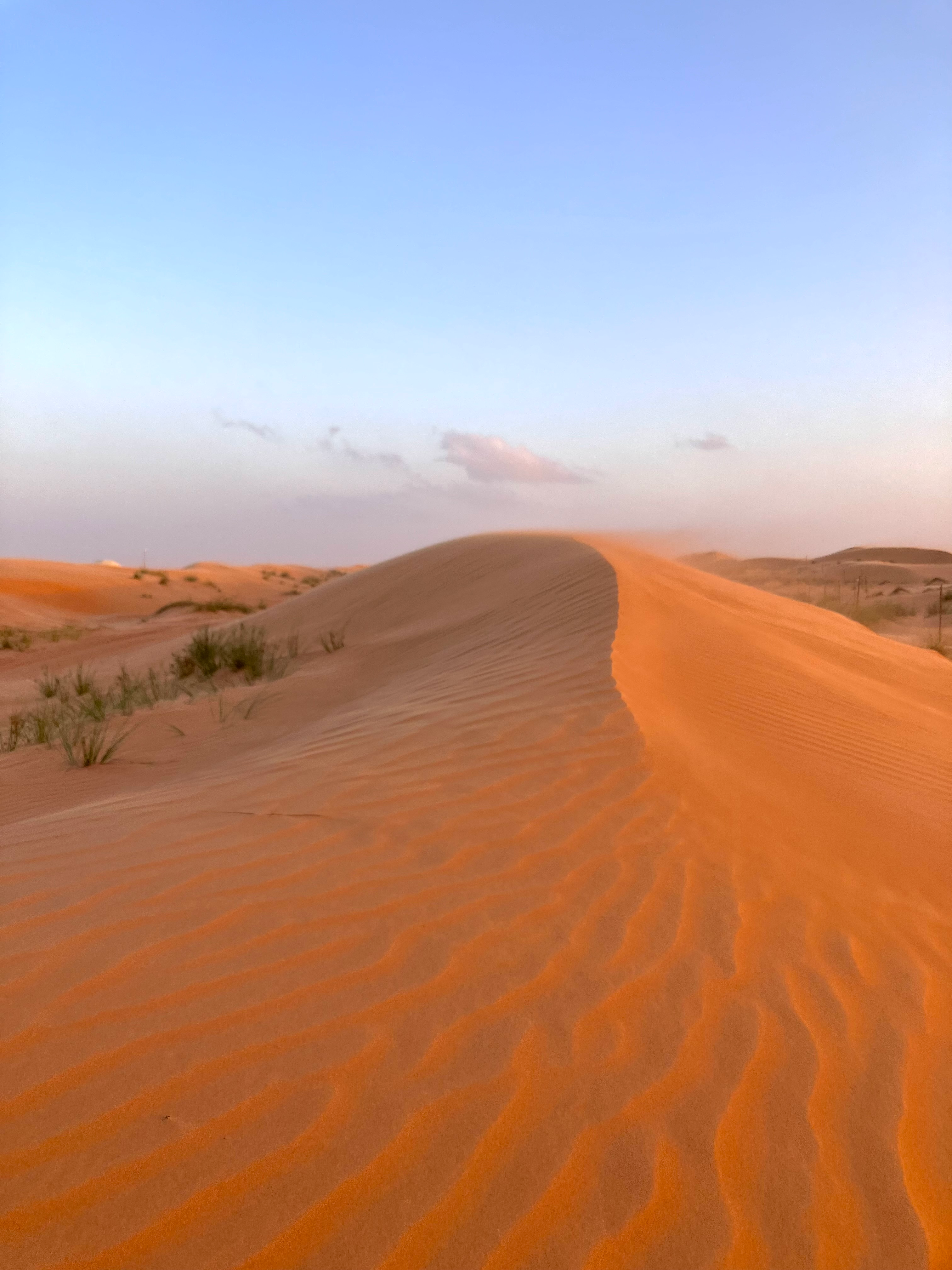 user avatar image for Elise