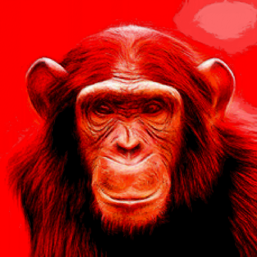 user avatar image for Paul