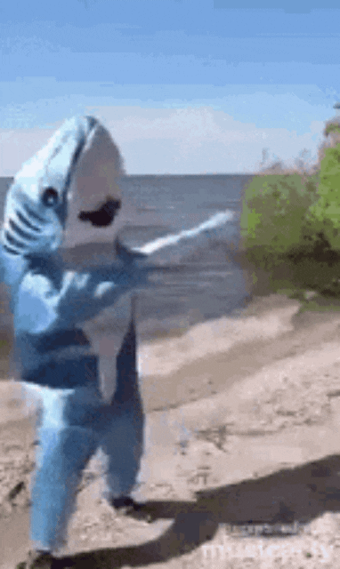 user avatar image for Ainsley