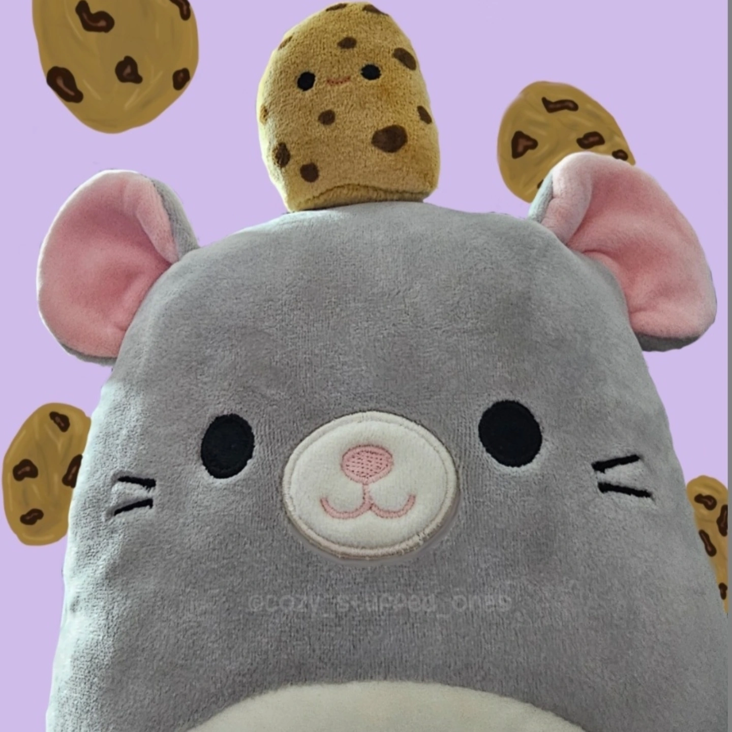 user avatar image for Cozy