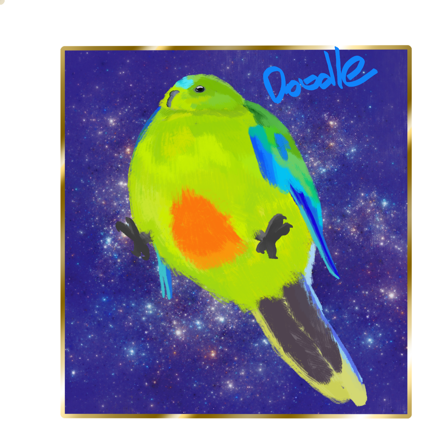 CHONKIER Parrot and Square Galaxy