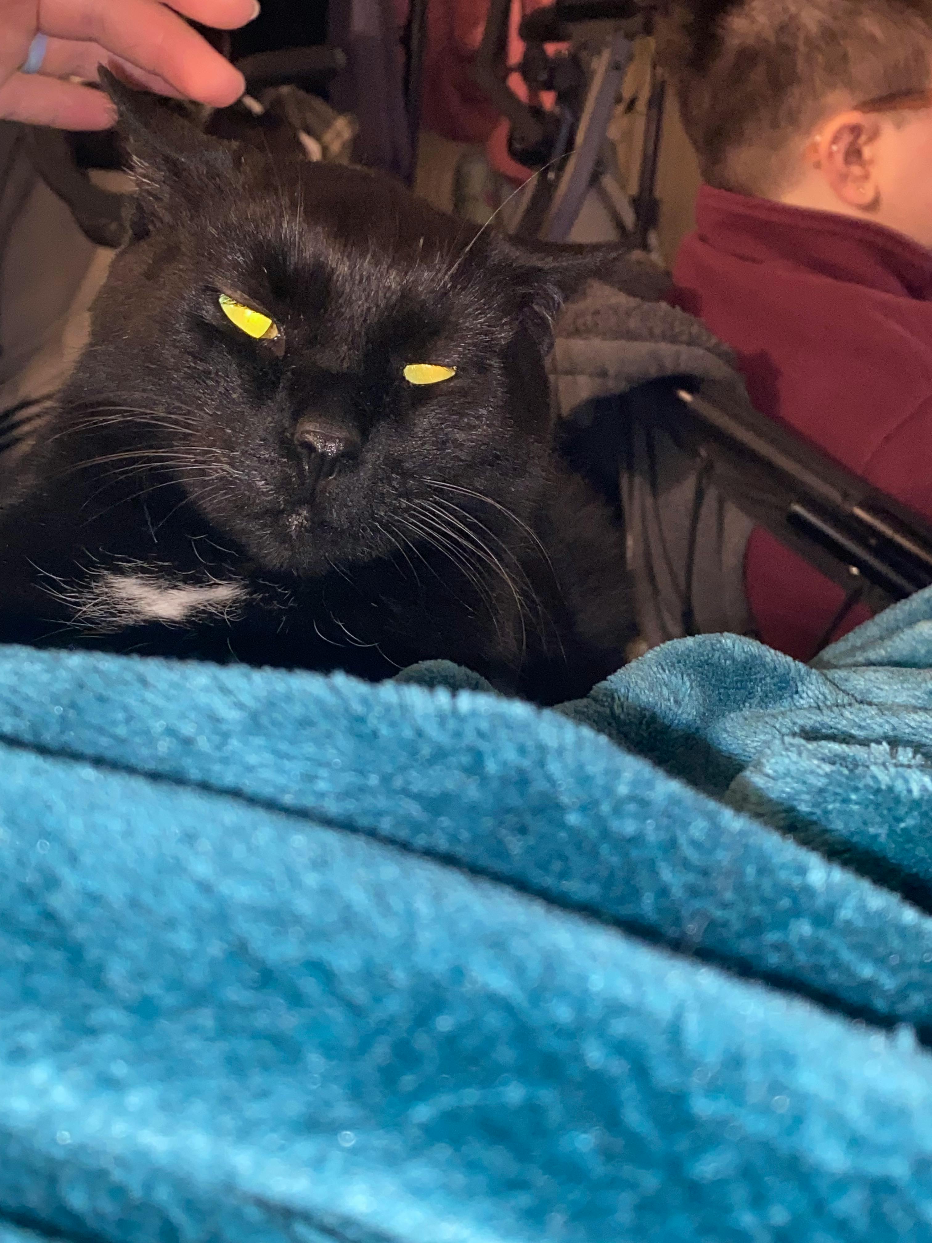 user avatar image for Gin