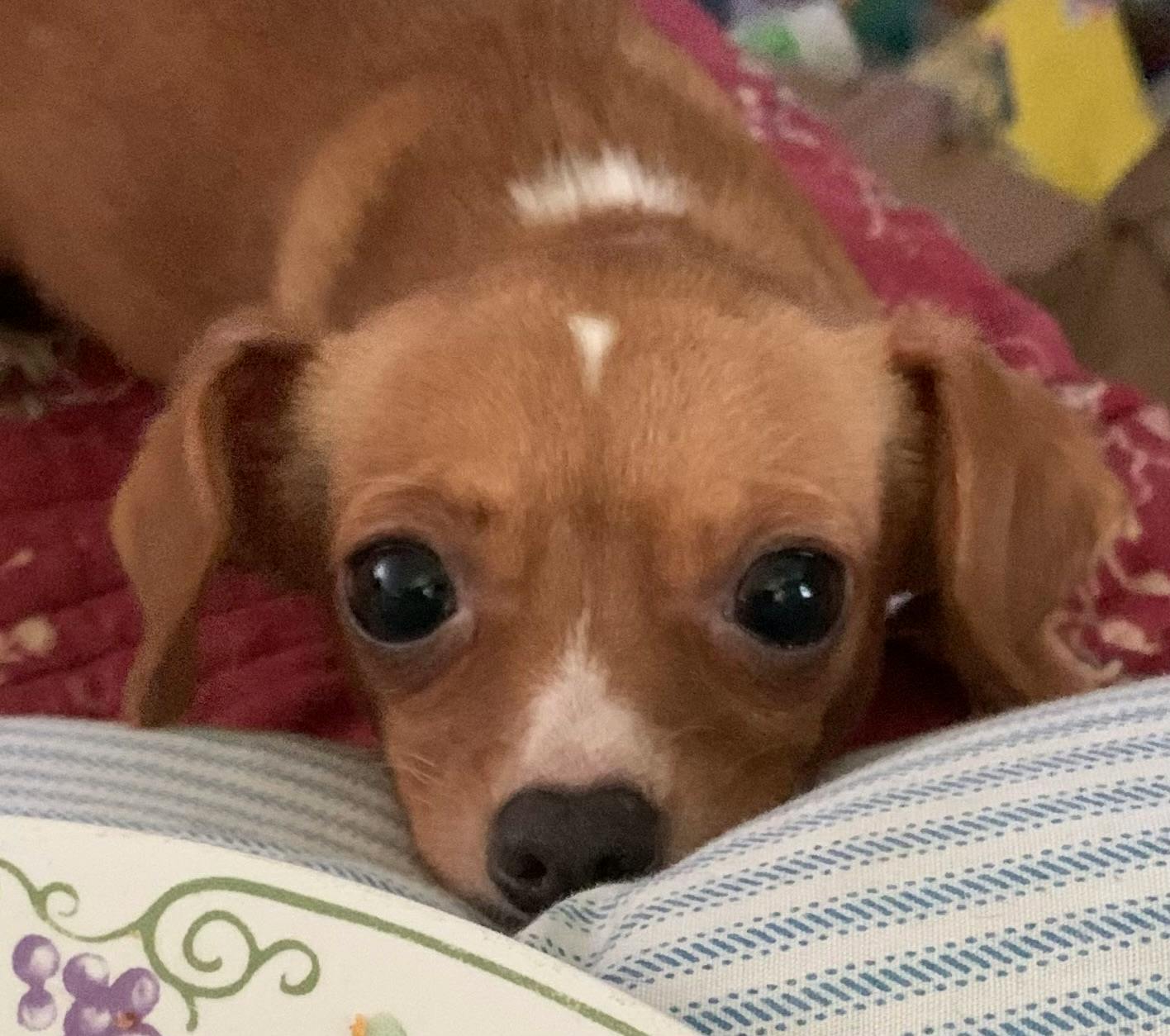 user avatar image for Merinda Watson