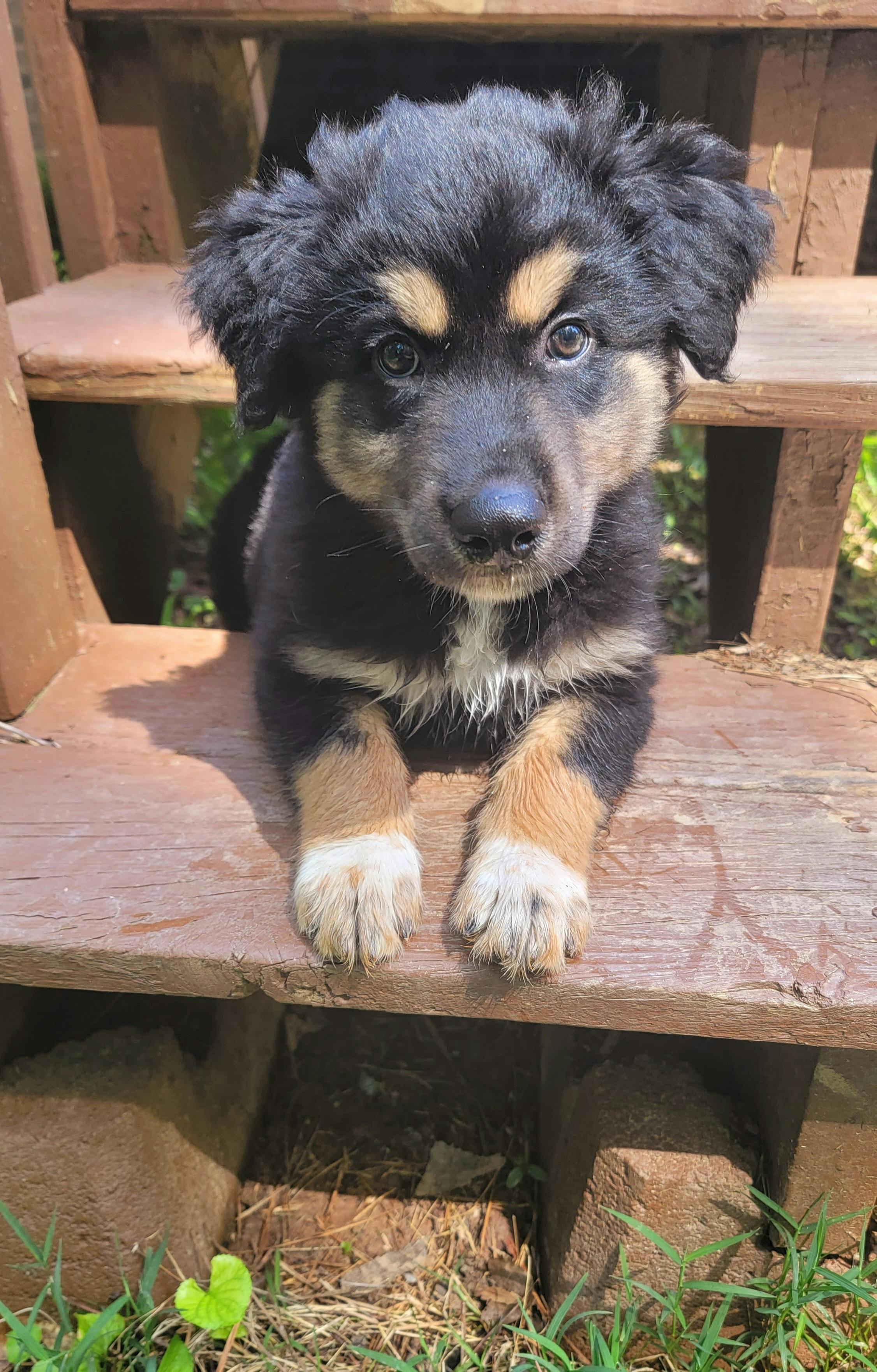 user avatar image for Zsarsi