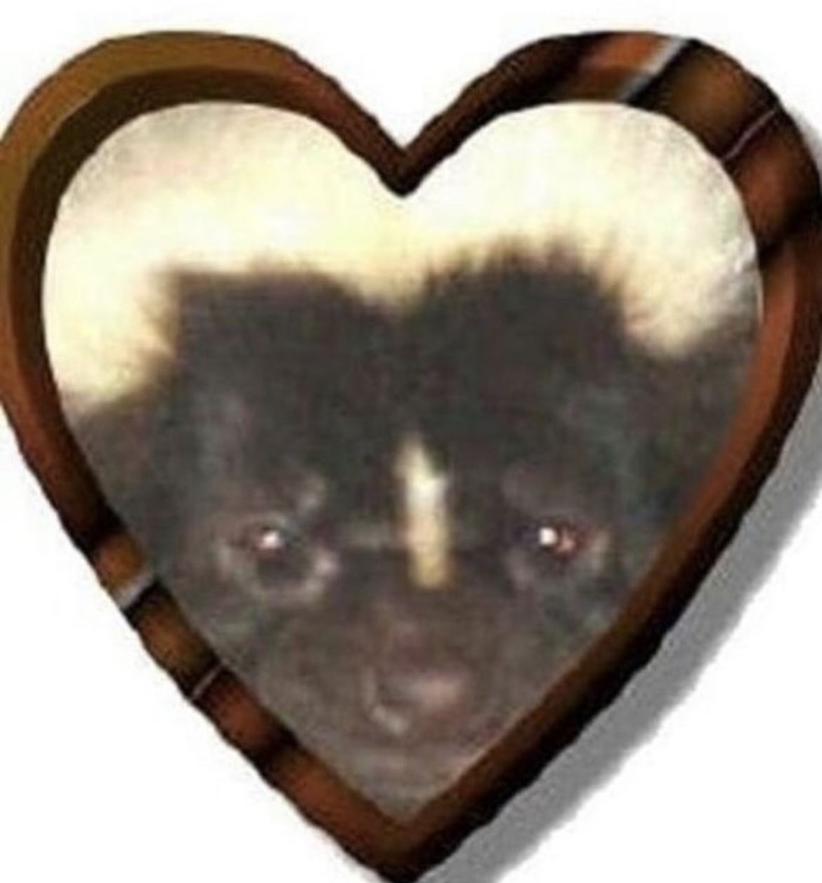 user avatar image for Sam