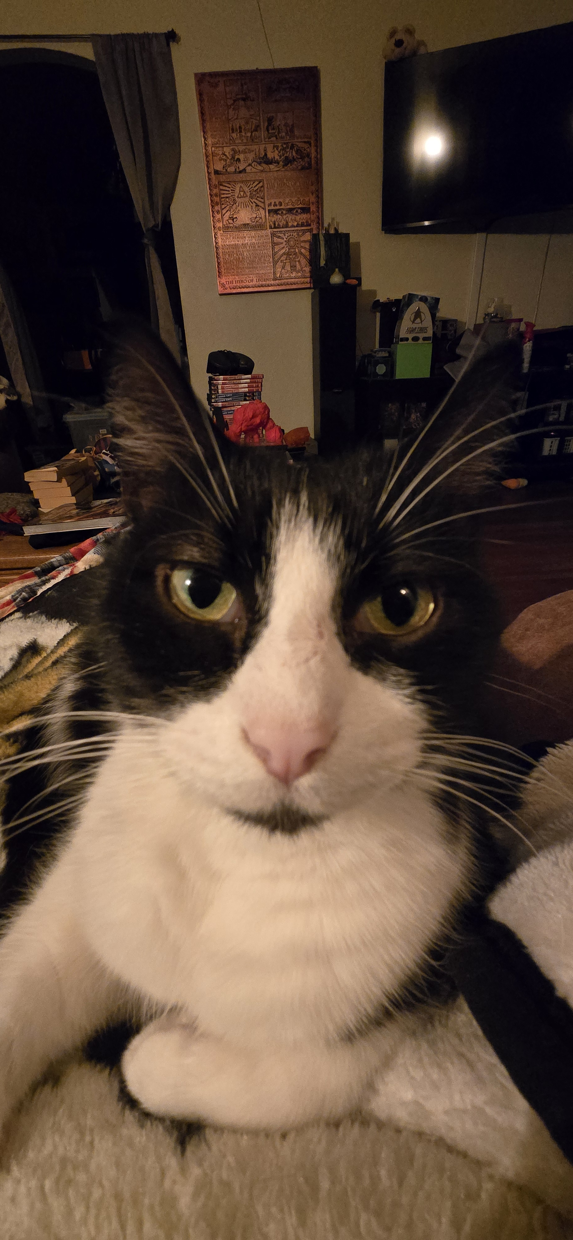 user avatar image for BackerAS