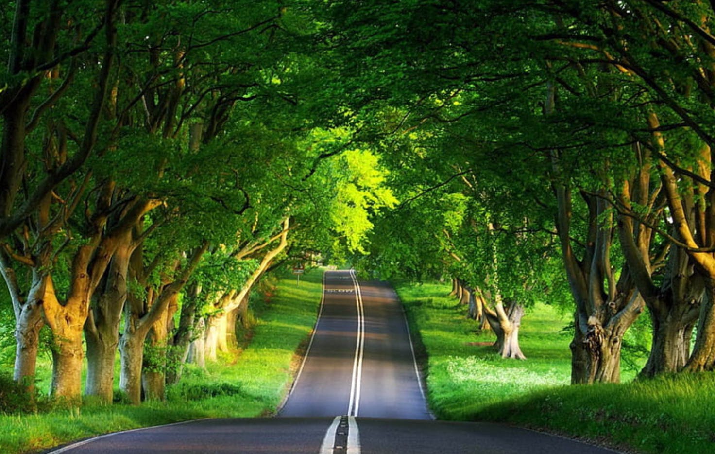 user avatar image for Jessica