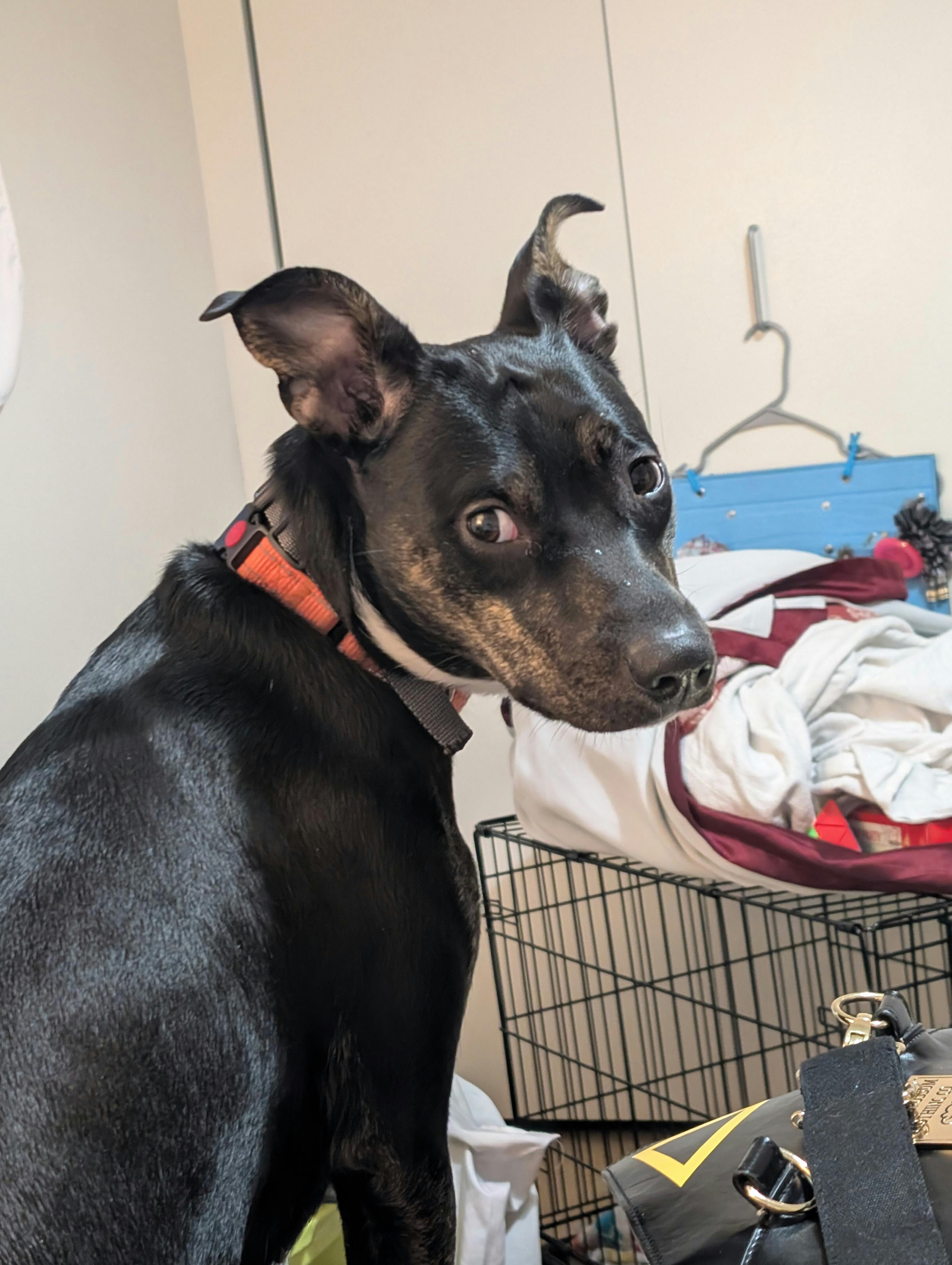 user avatar image for Lizzi Price