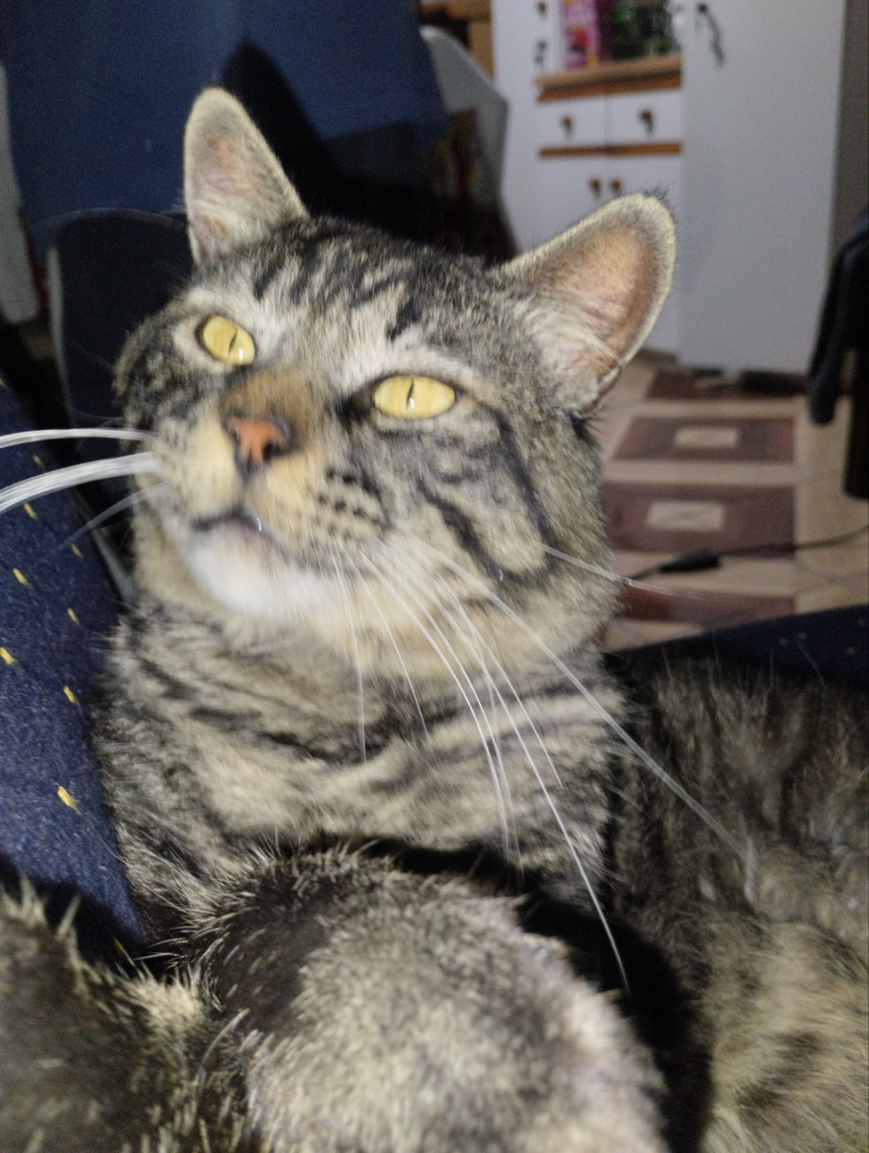 user avatar image for Pistachiou