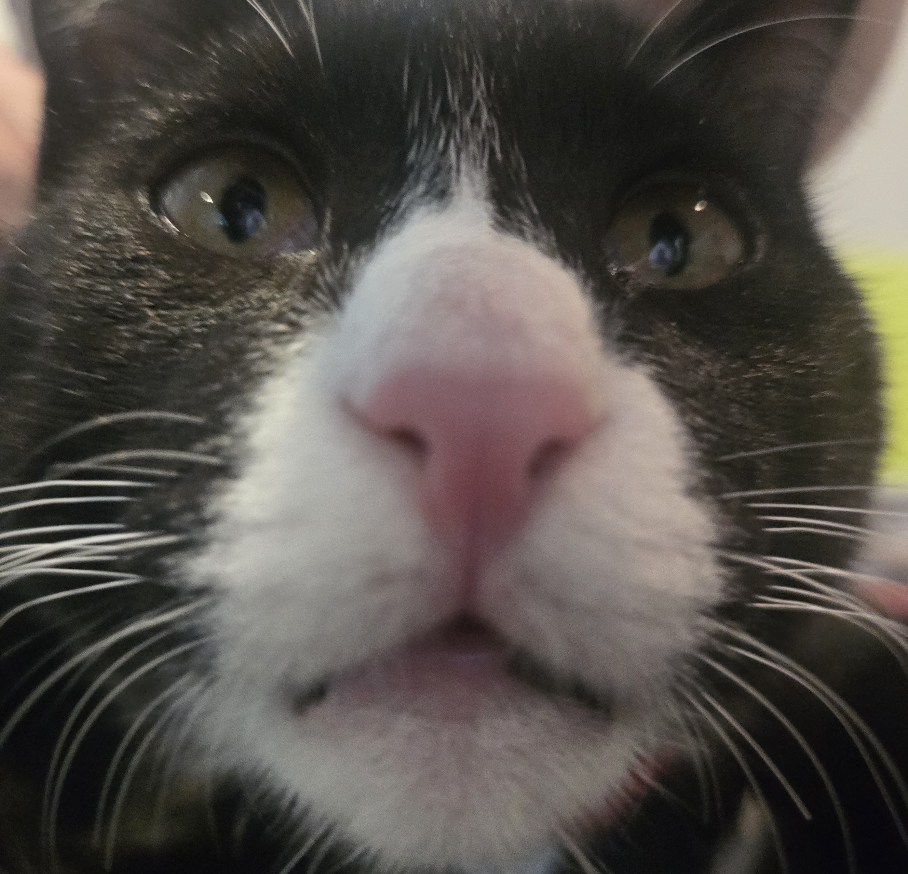 user avatar image for Jay lane