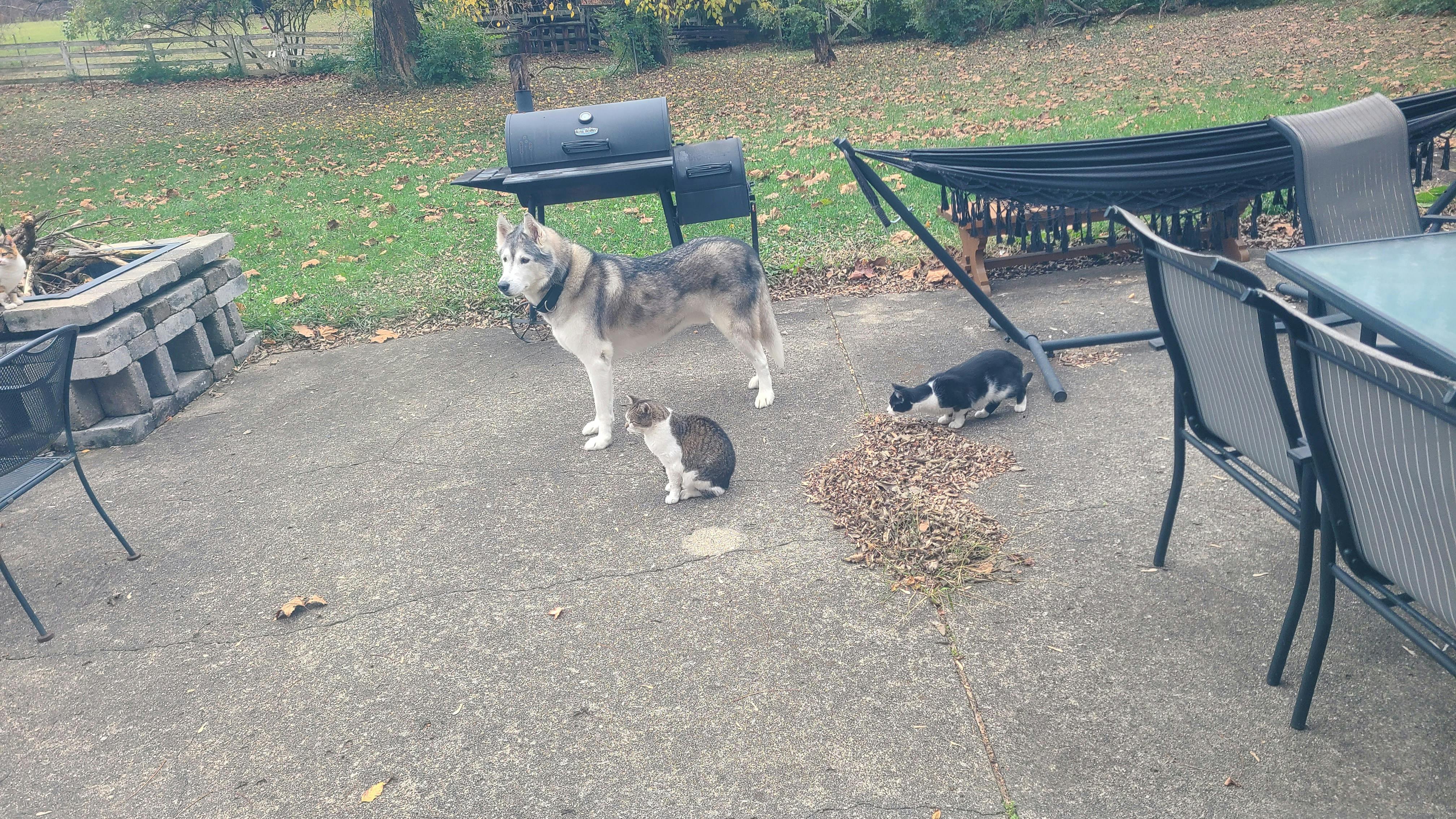 user avatar image for Sheriff of Luna