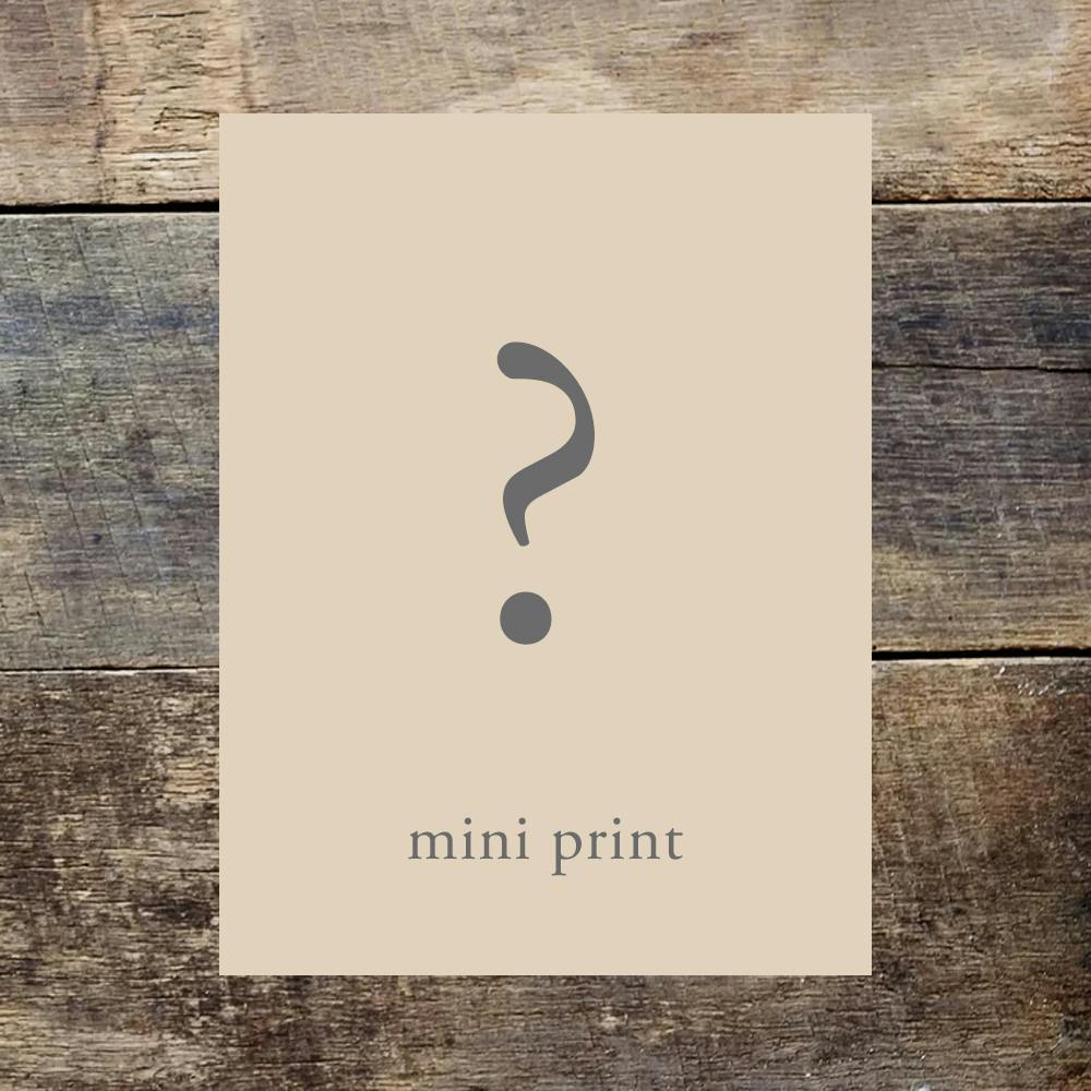 Mystery Mini Print