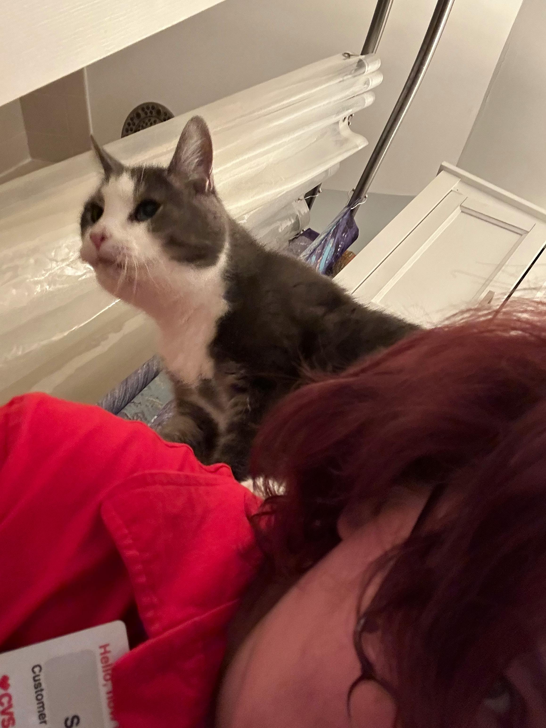 user avatar image for Samantha Ghormley