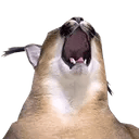 user avatar image for werewargs