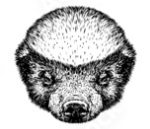 user avatar image for Ron Derry