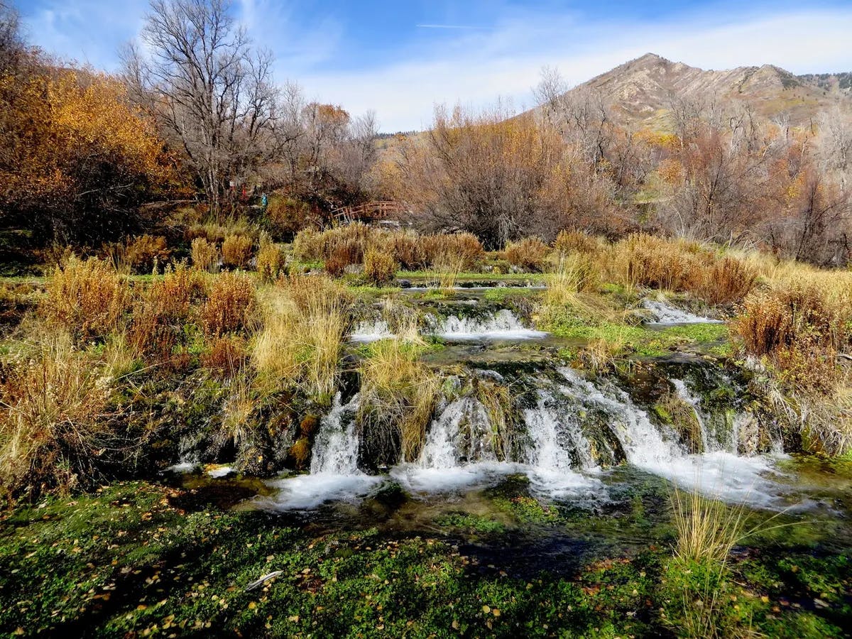 user avatar image for Bugzee