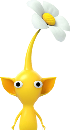 user avatar image for Amy