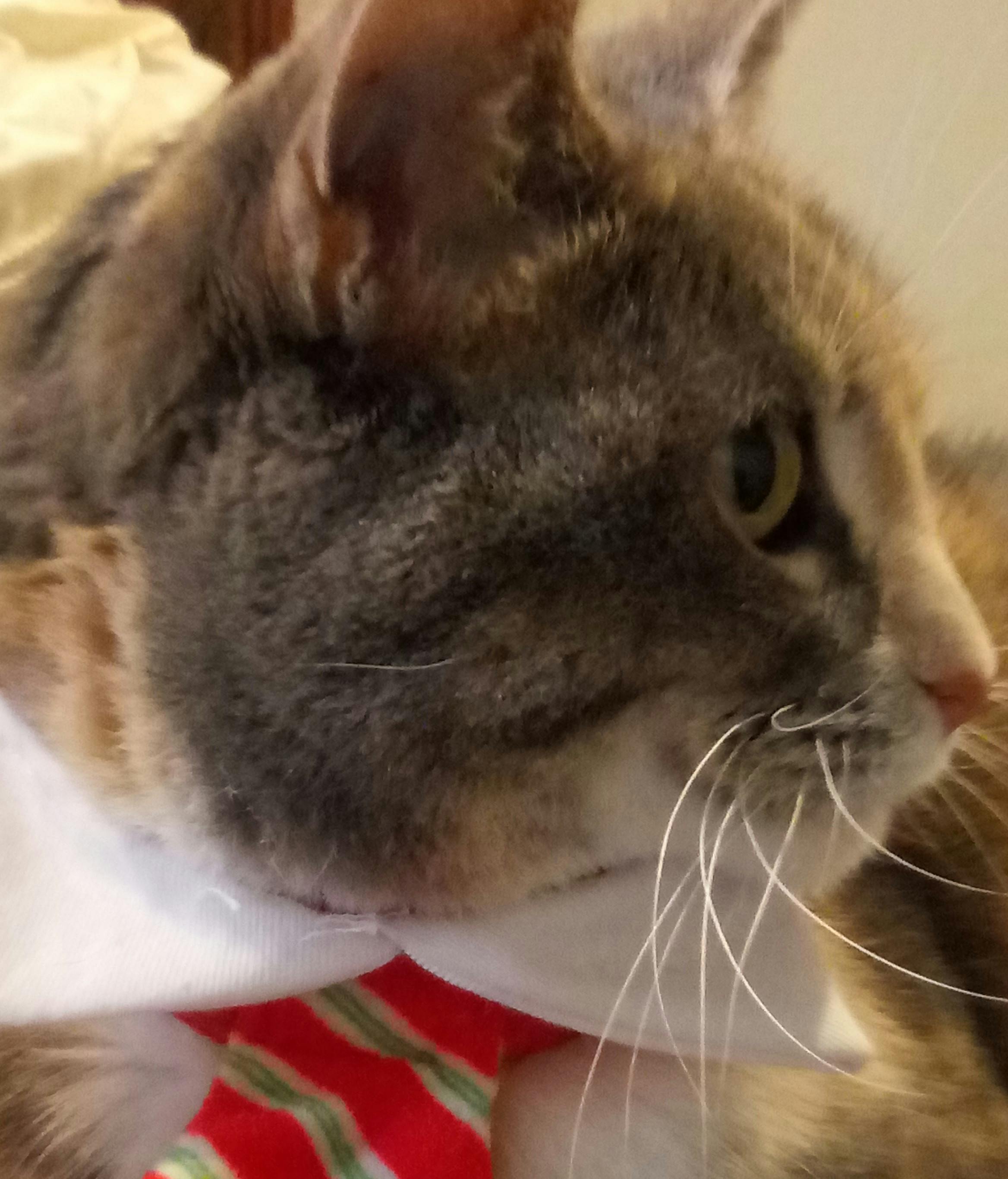 user avatar image for Joy