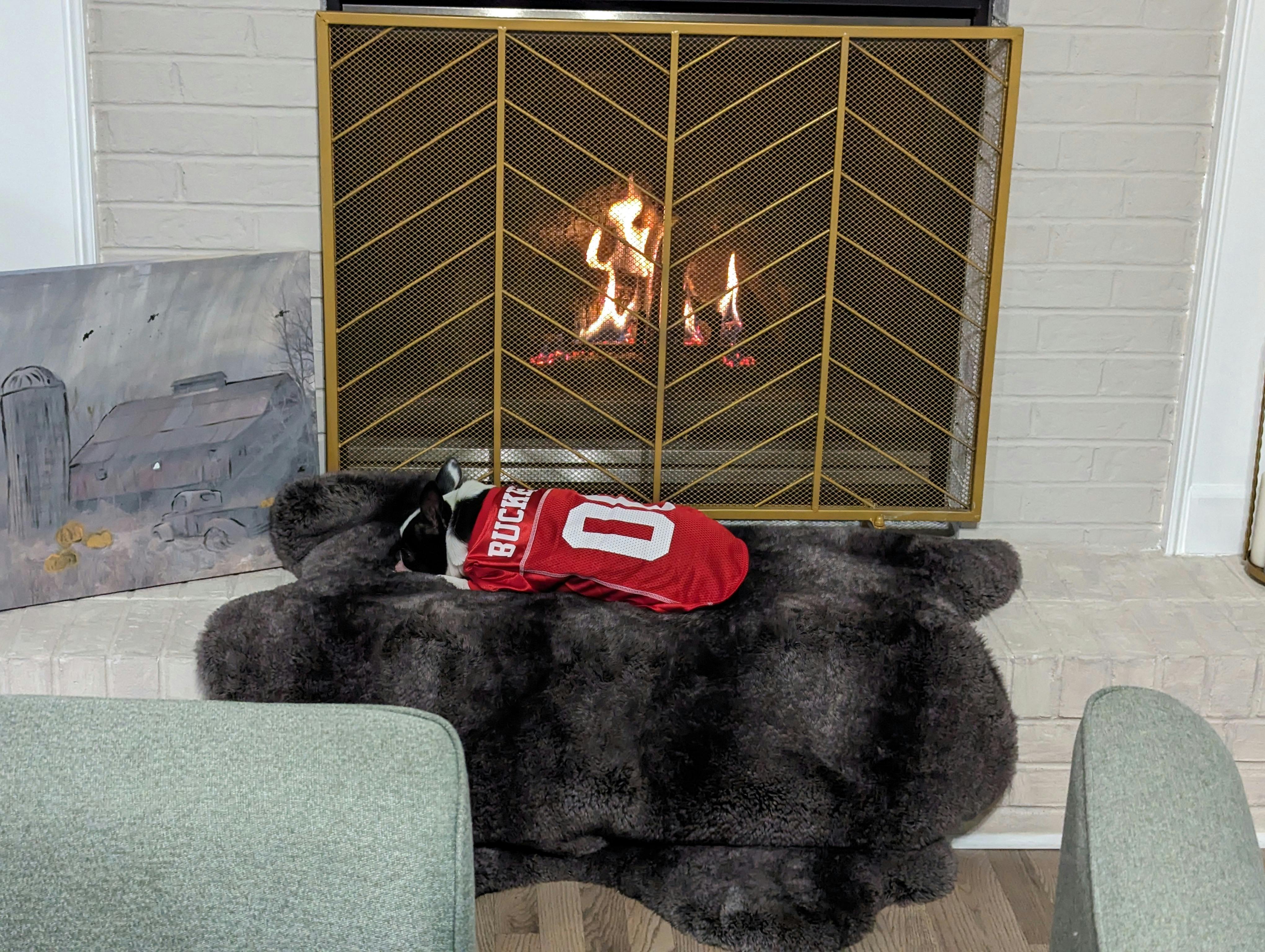 user avatar image for Orion