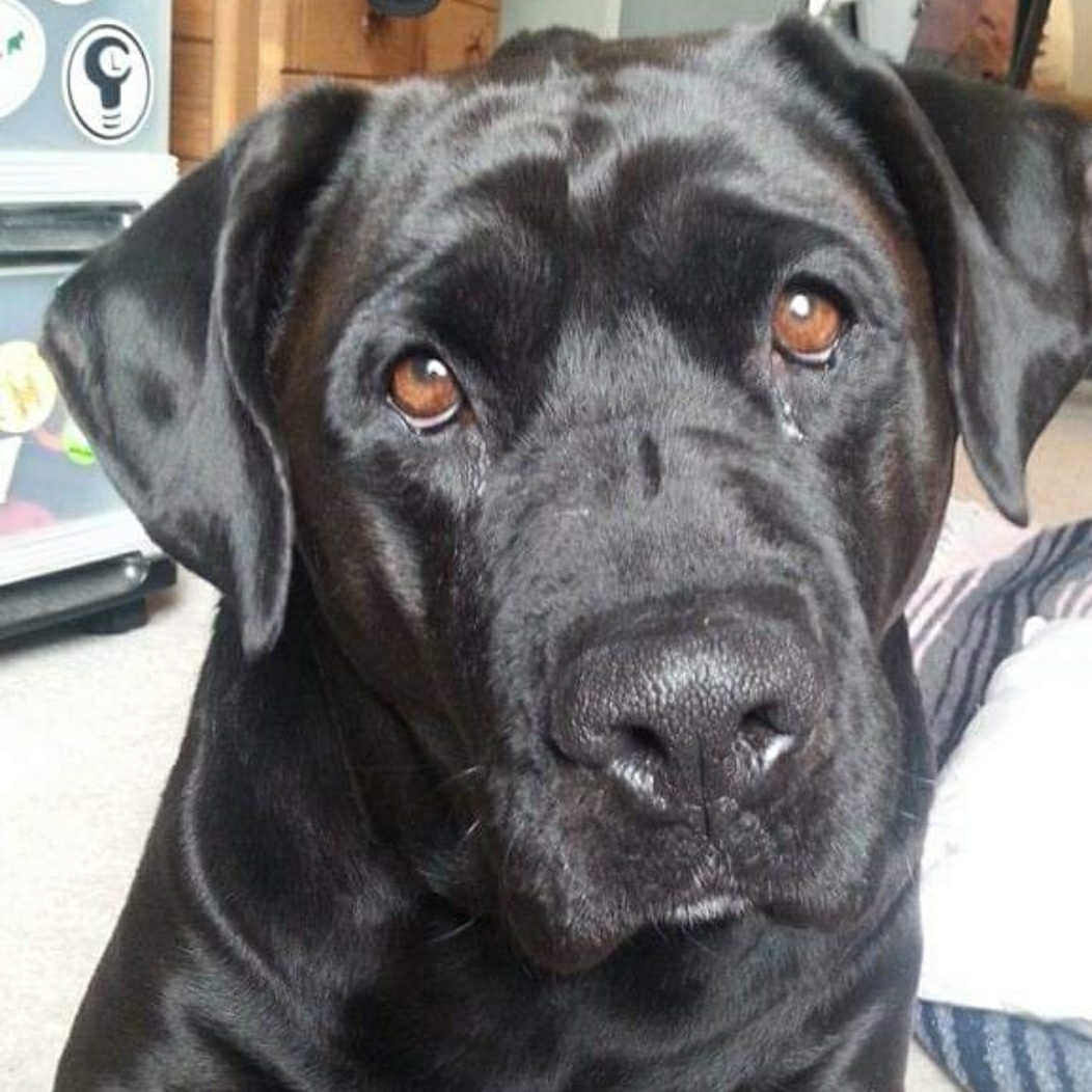 user avatar image for Hawk