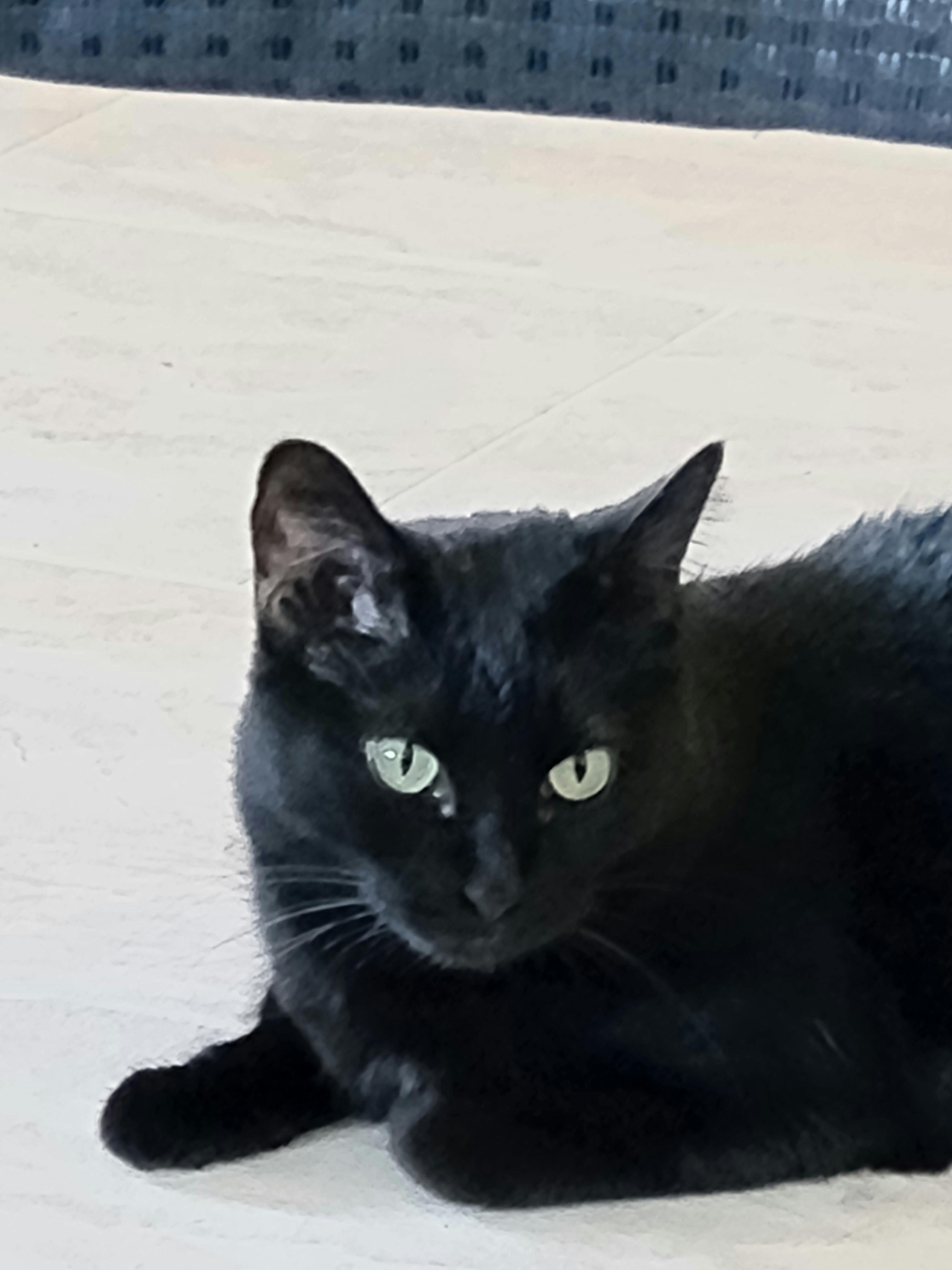 user avatar image for Cameron