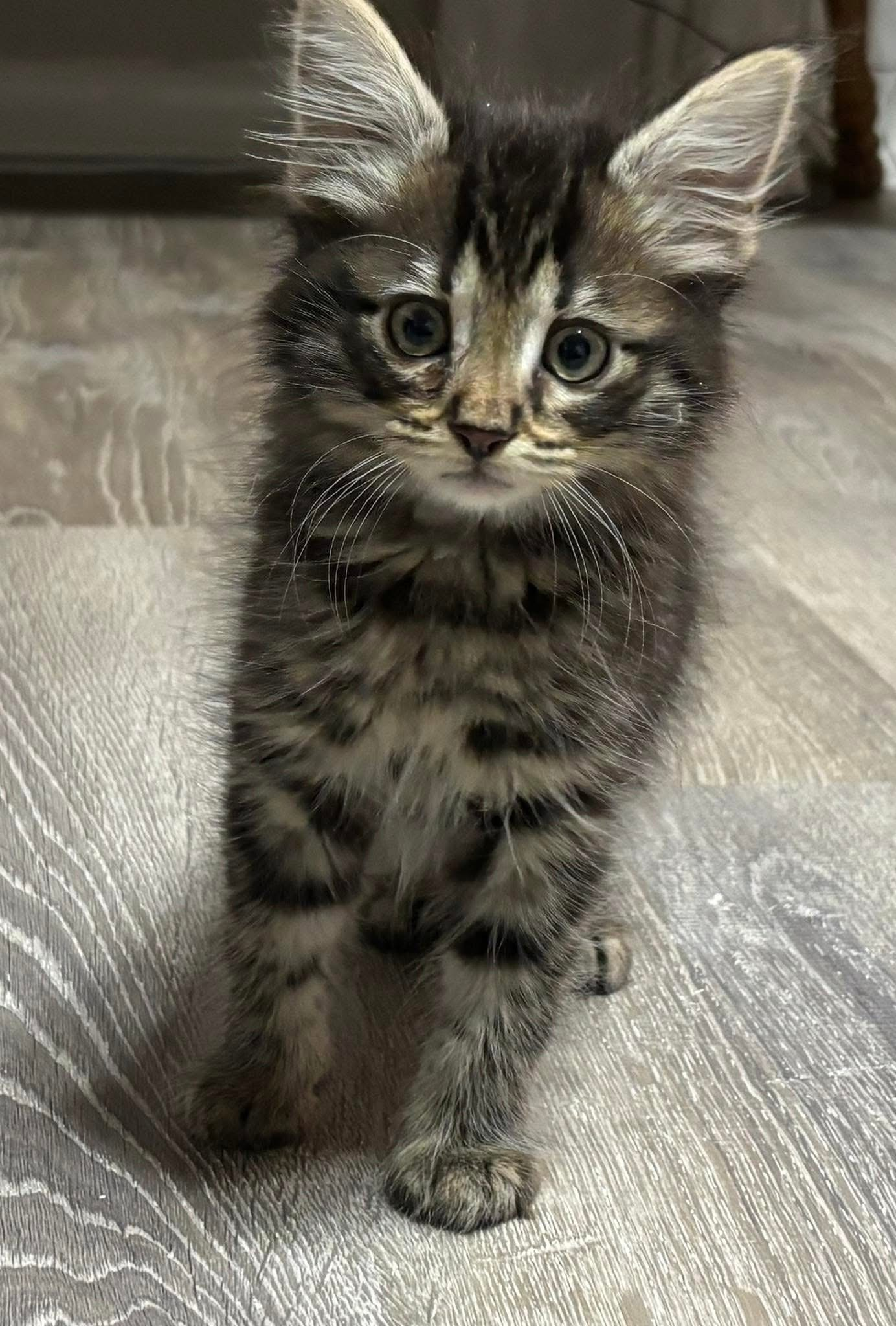 user avatar image for Matthew Davis