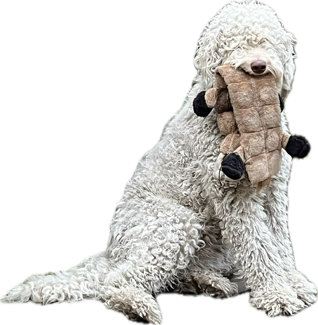 user avatar image for Margot
