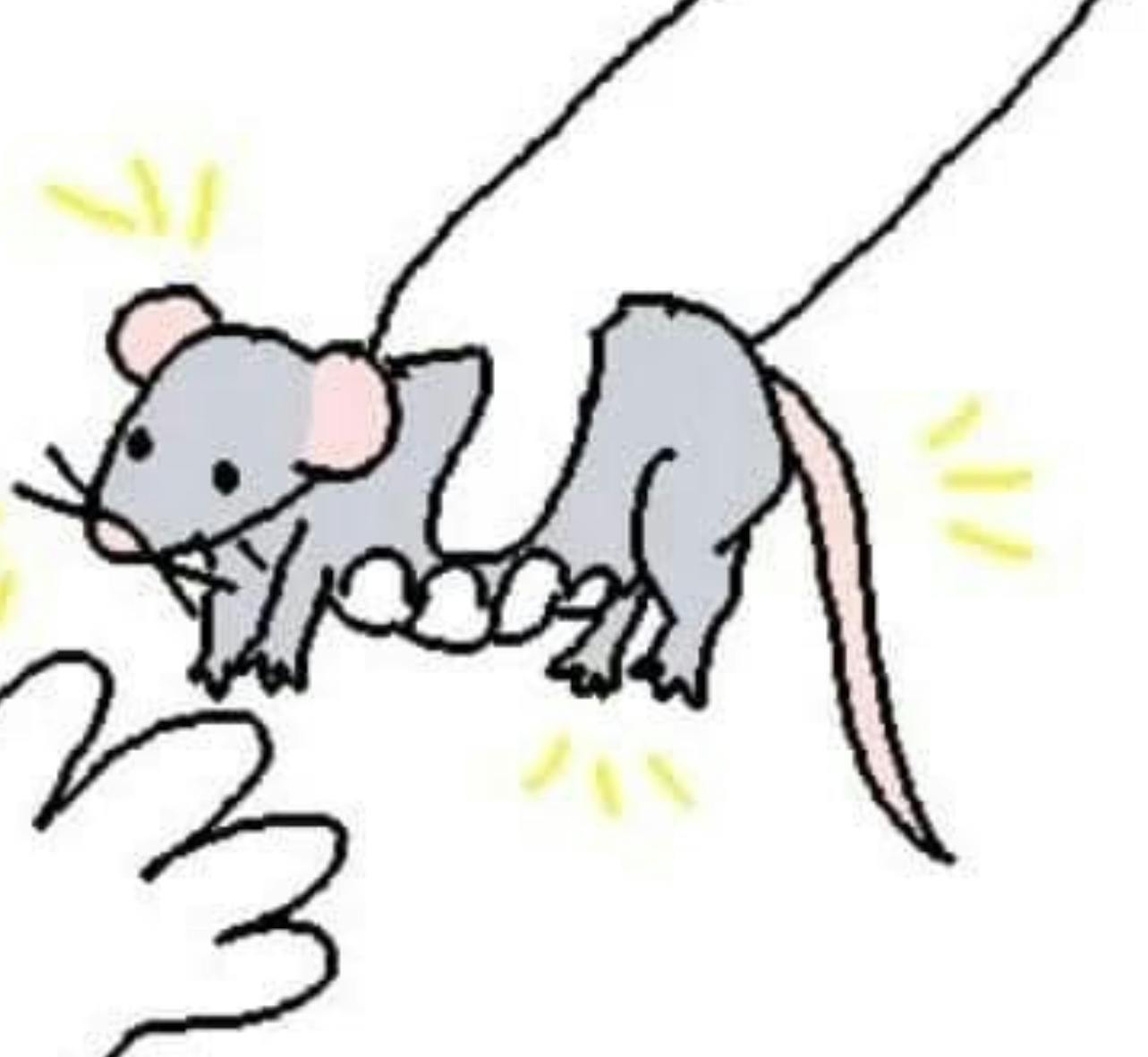 user avatar image for JasperPossumRat