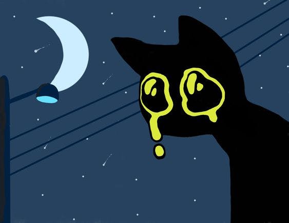 user avatar image for TheNamesCrab