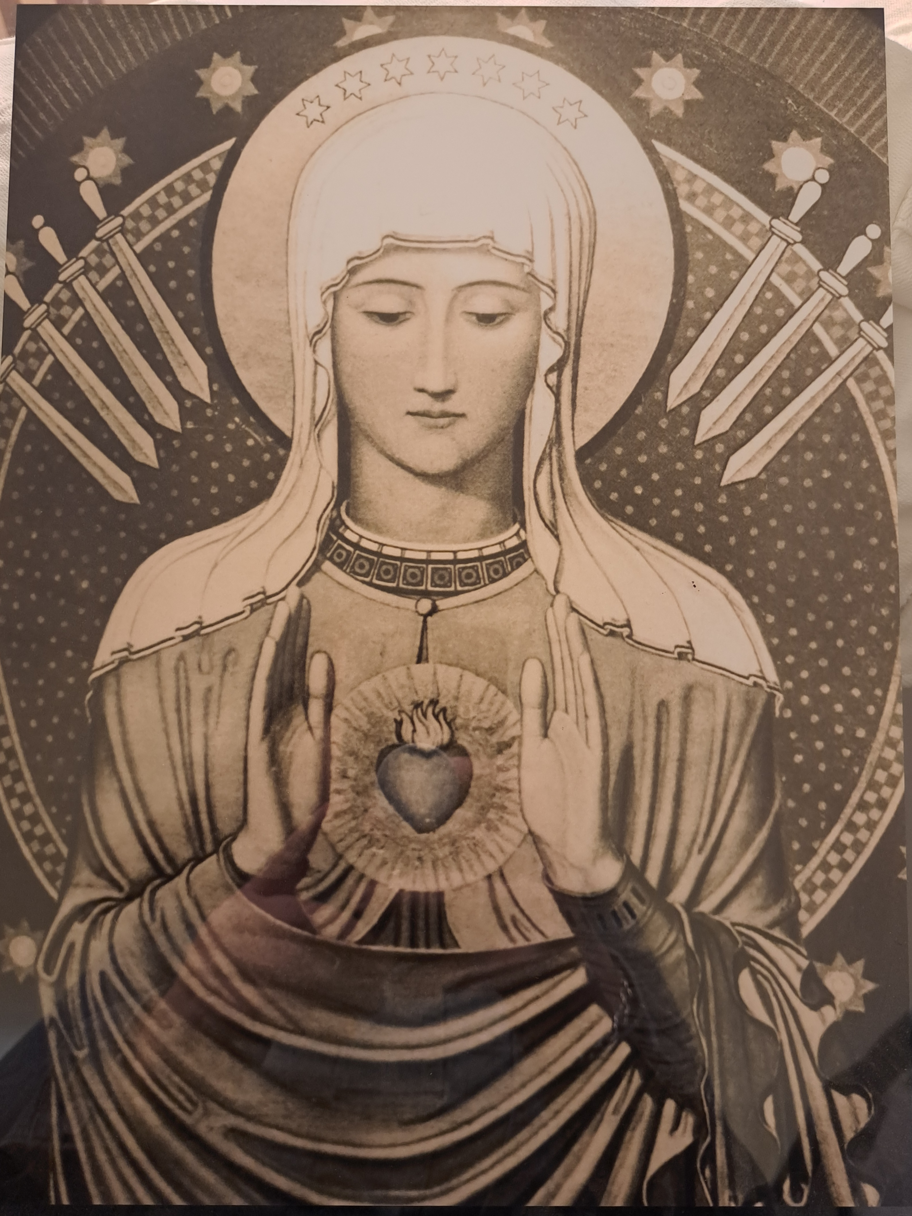 user avatar image for Liz