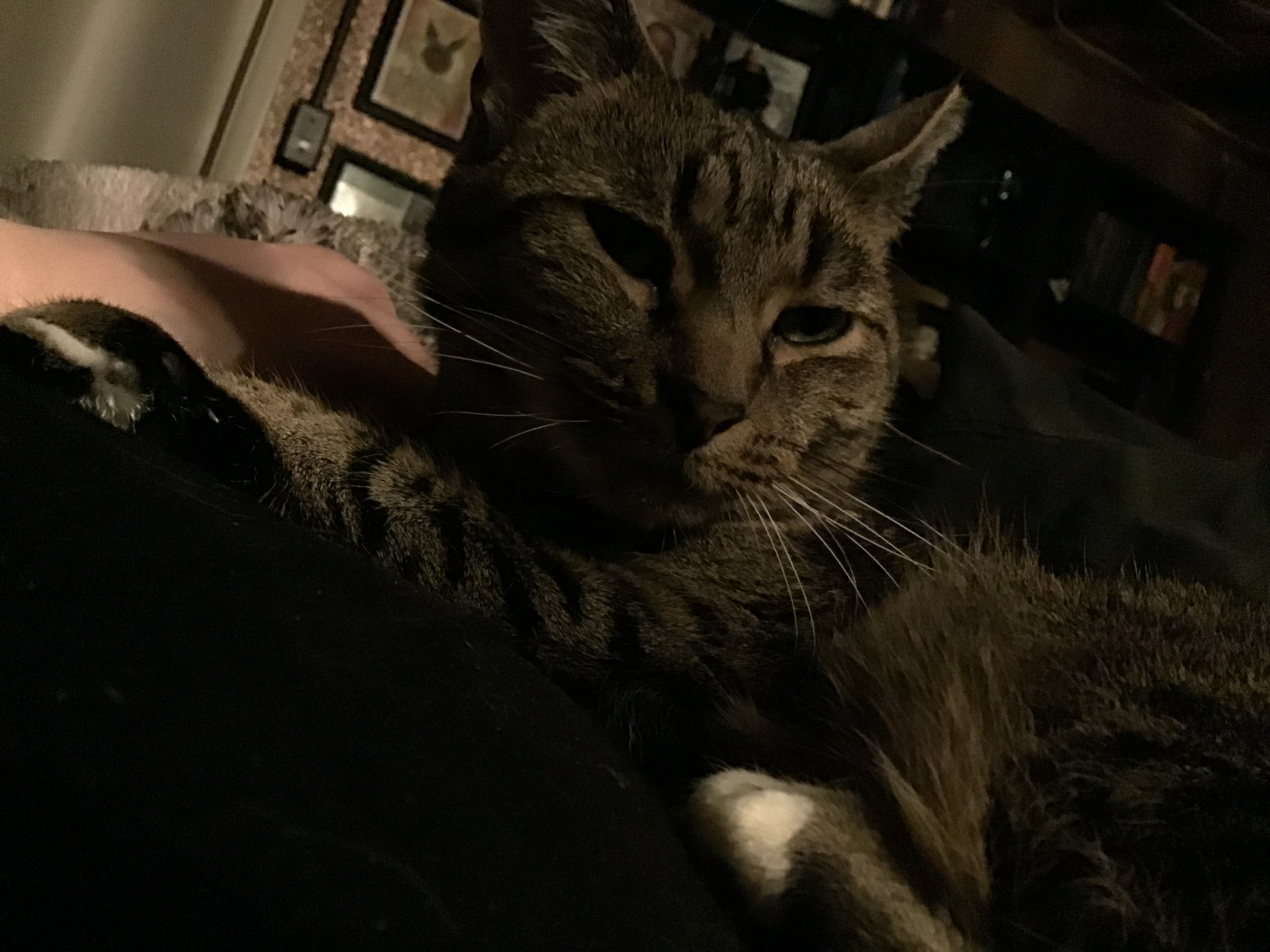 user avatar image for Stephanie