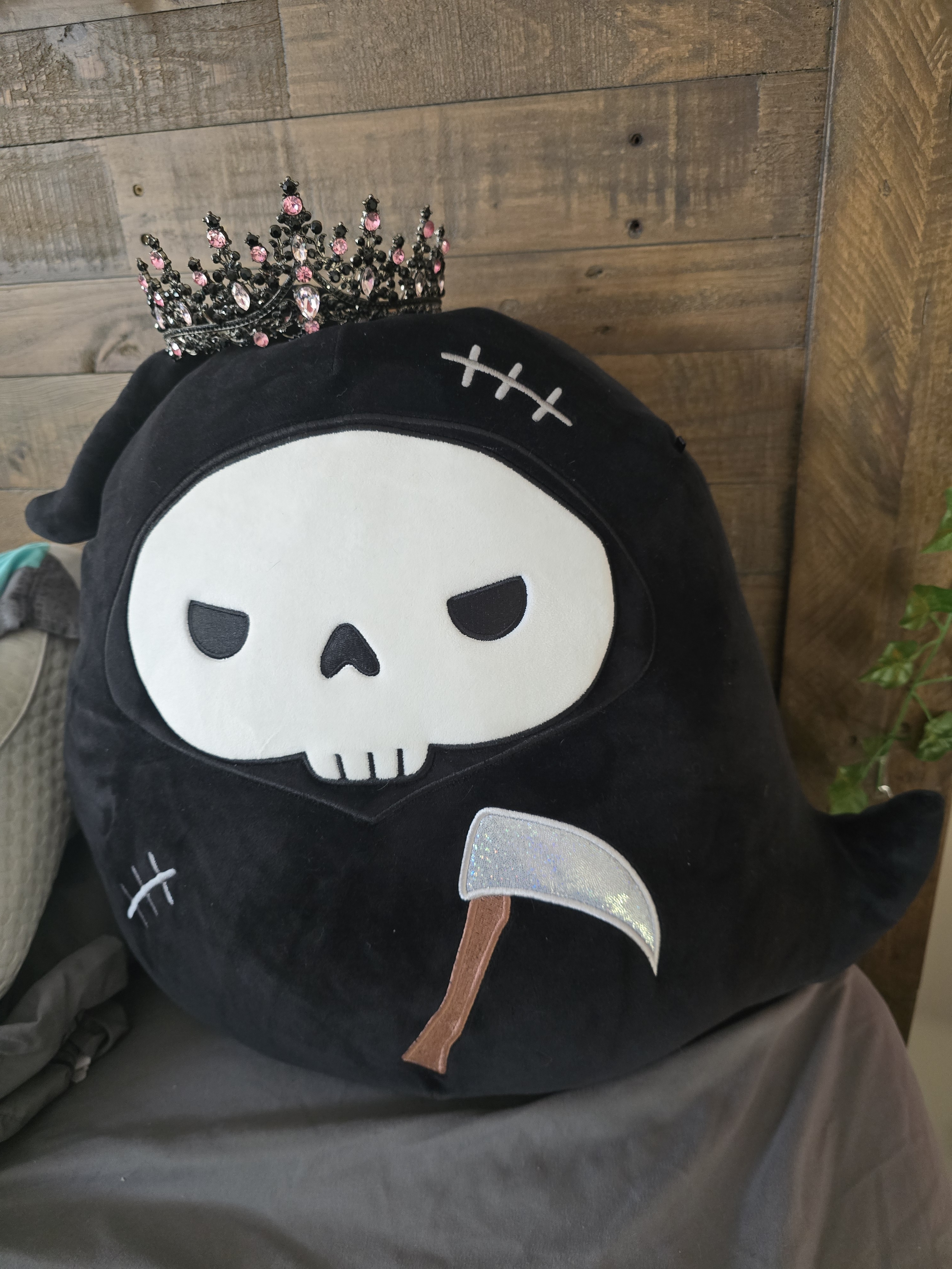user avatar image for Alexa