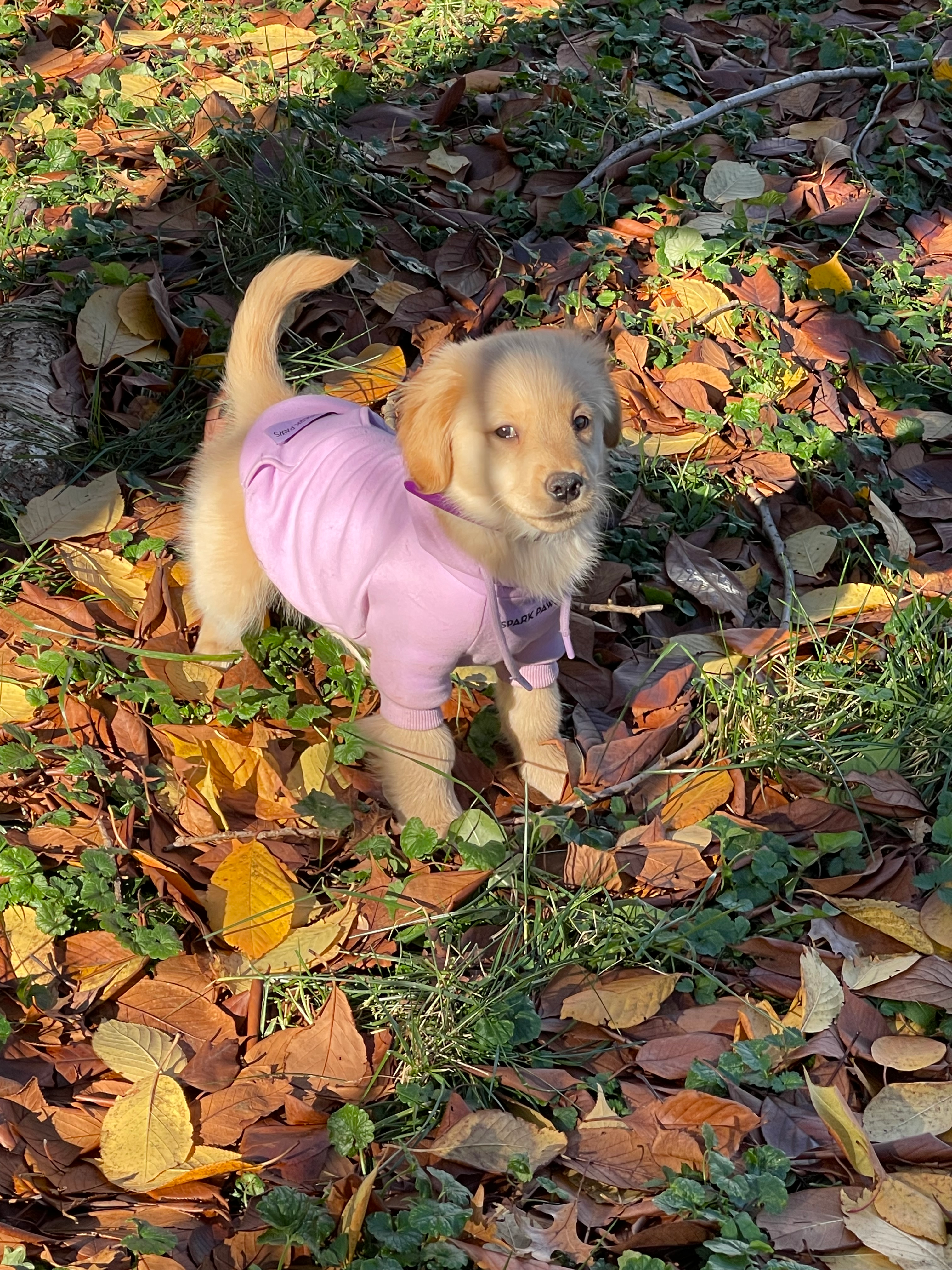 user avatar image for Danyelle