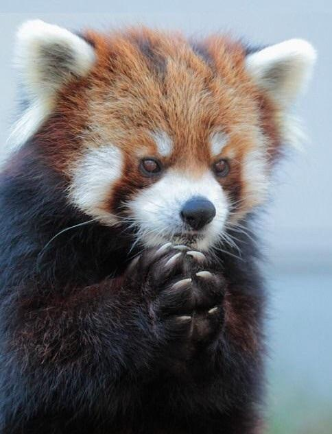 user avatar image for Derek