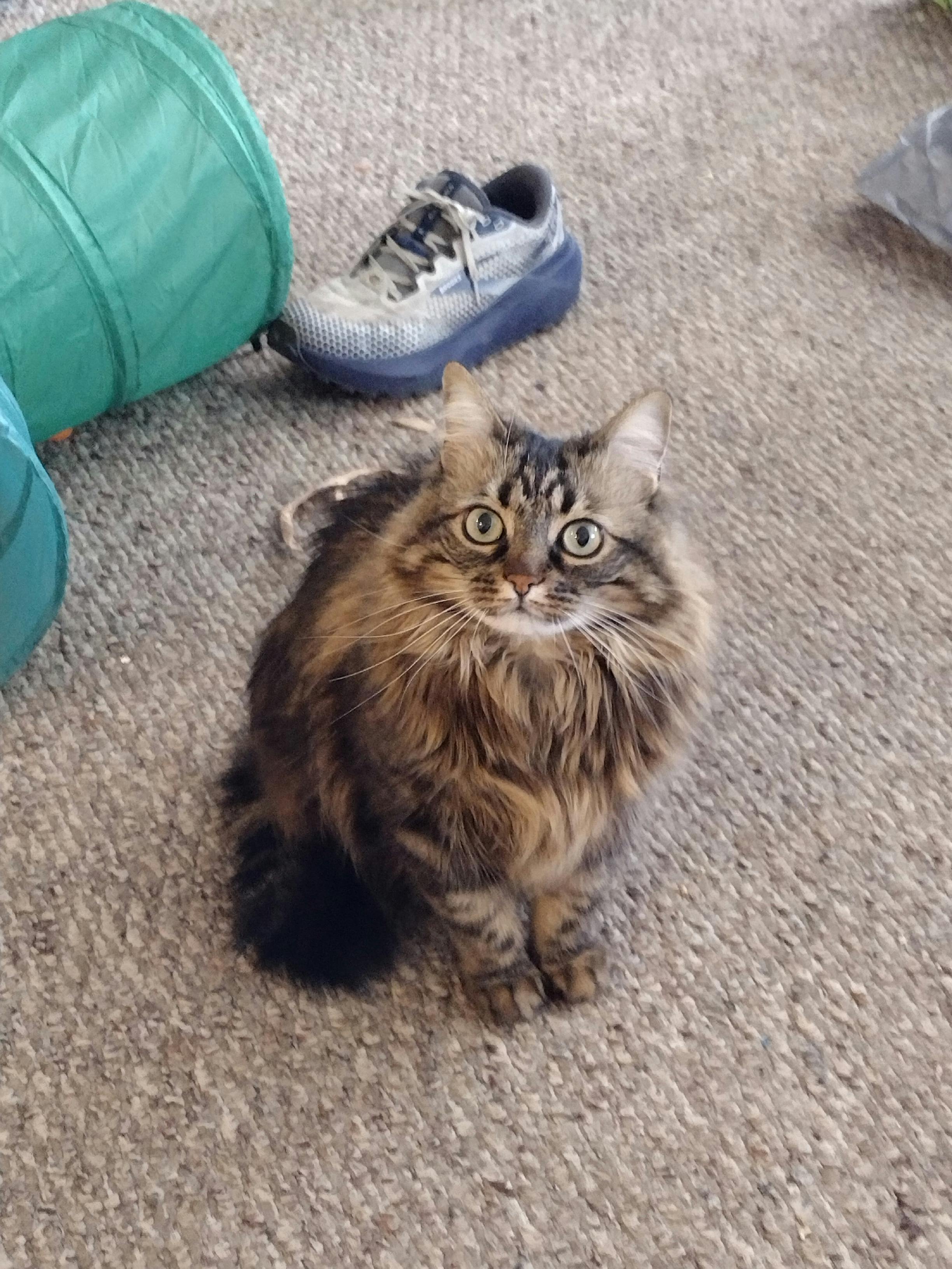 user avatar image for Billi 