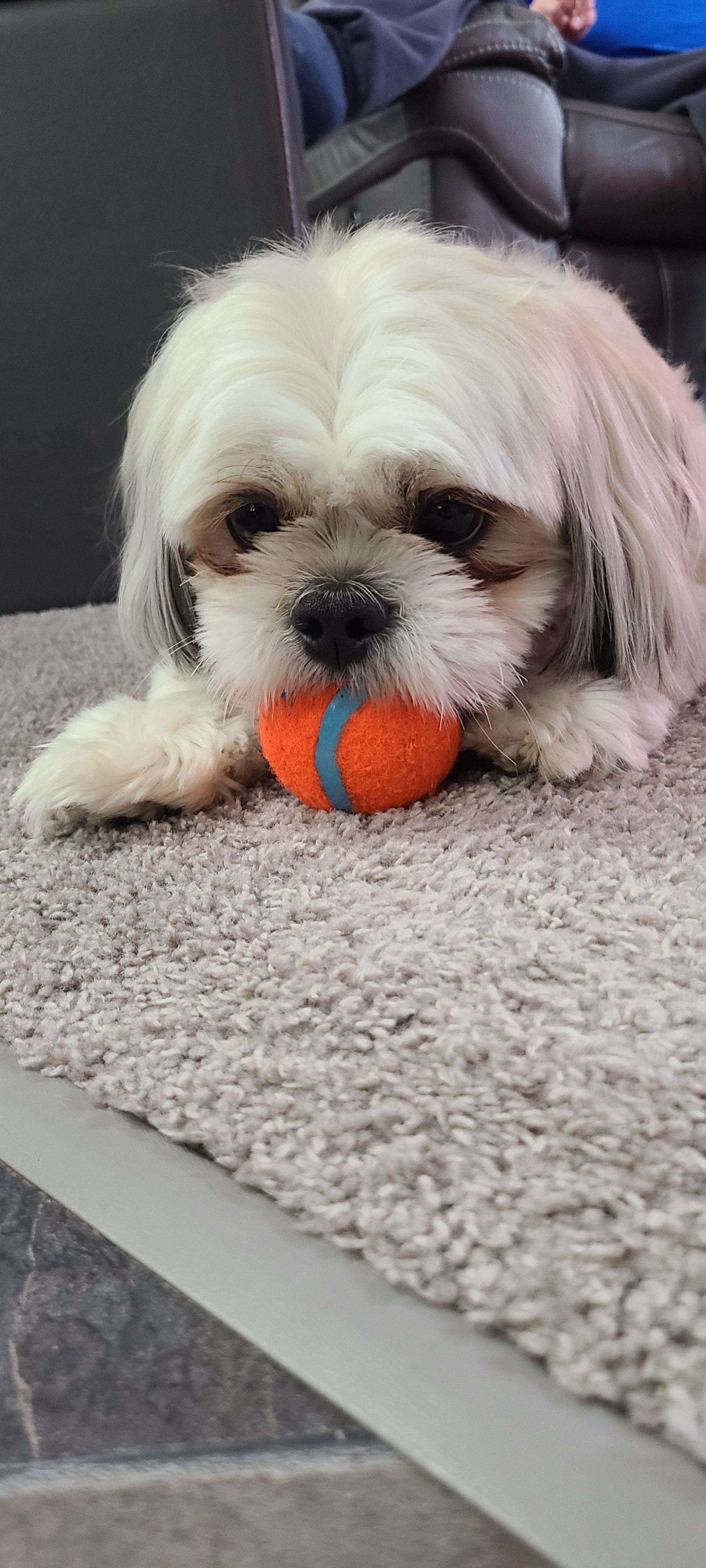 user avatar image for IllegalHawk