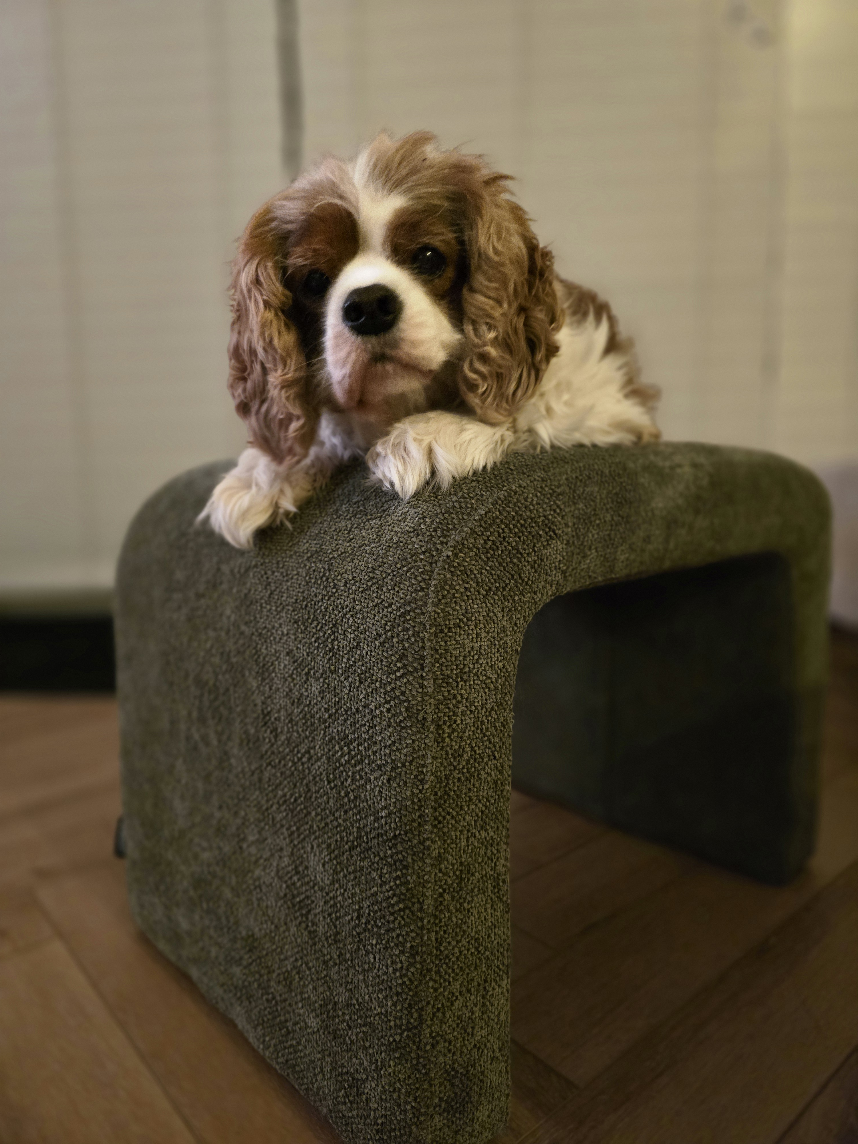 user avatar image for Ischa van Es