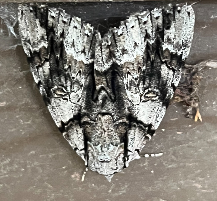 user avatar image for Lyssa R