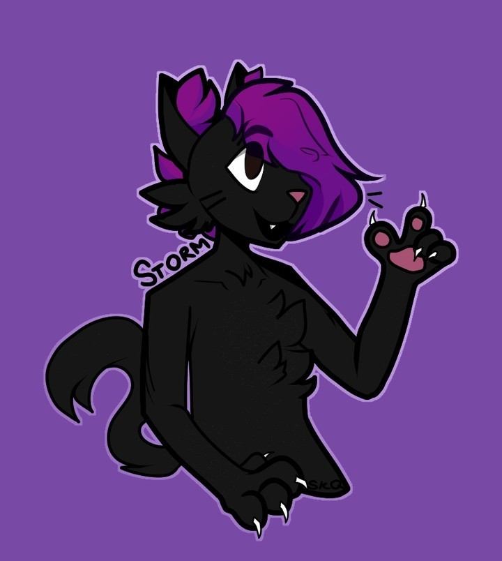 user avatar image for Alexi