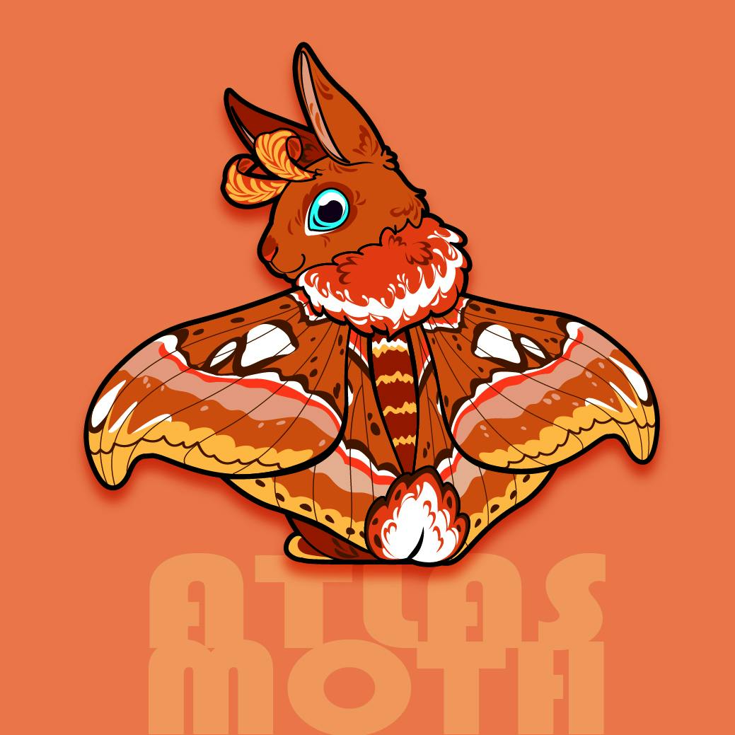 Winged Wabbits Project Update: New Wabbit Designs! - BackerKit