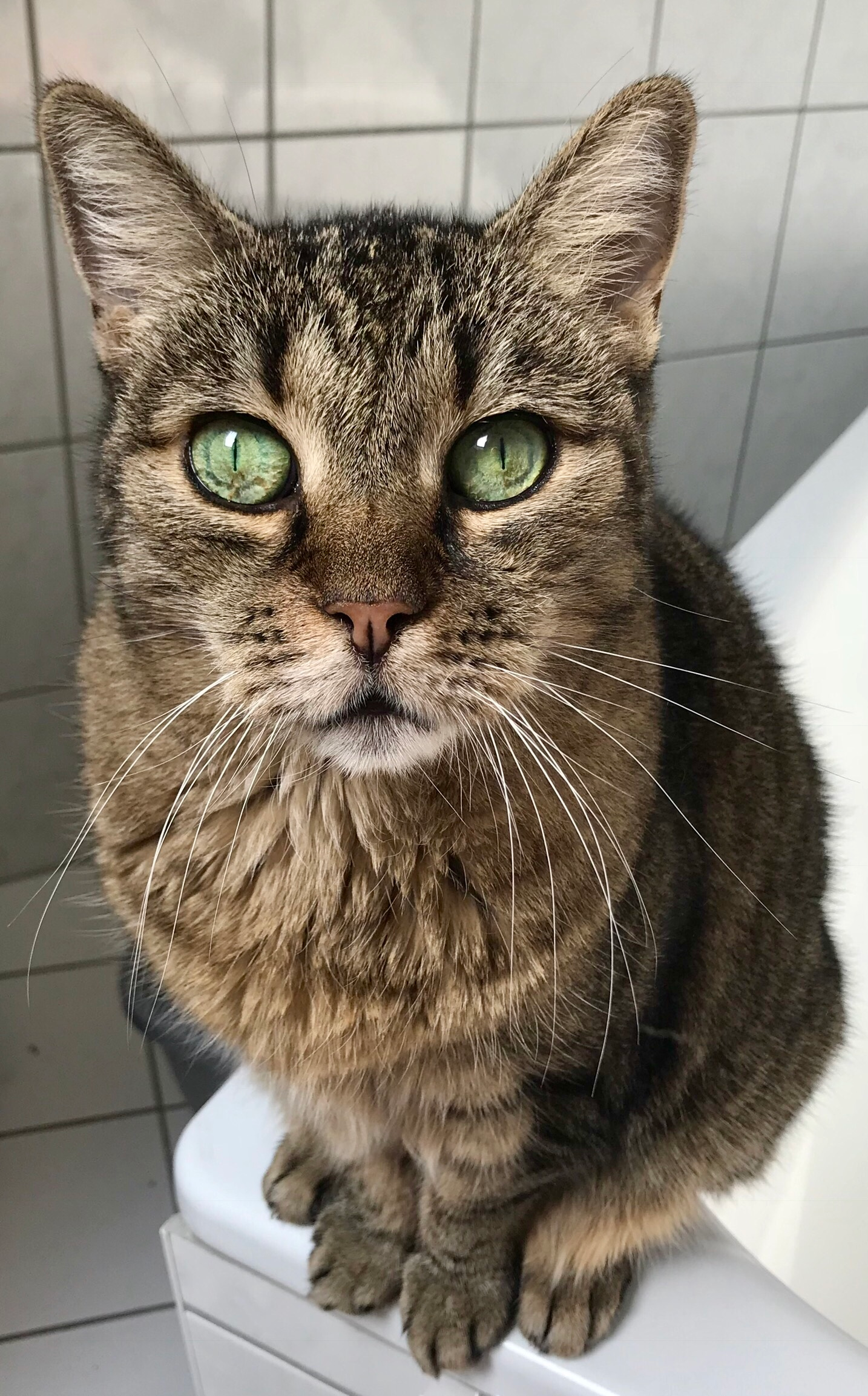 user avatar image for elbereth86